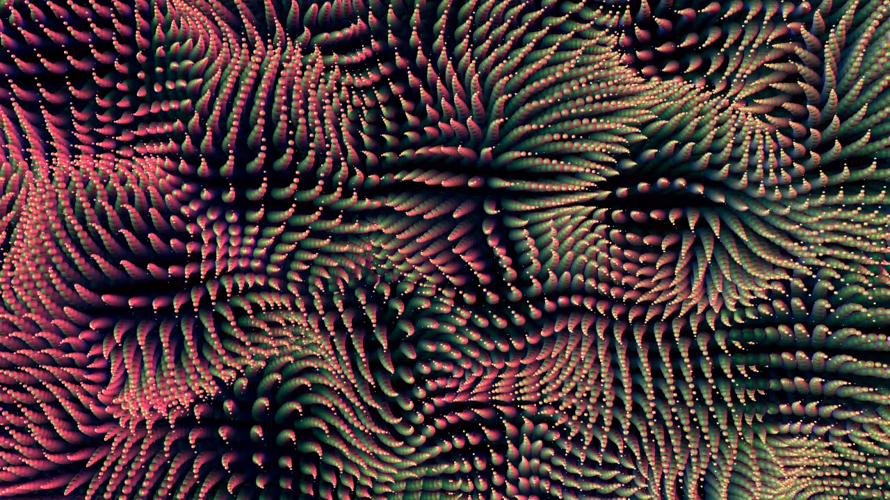 SeaWeed