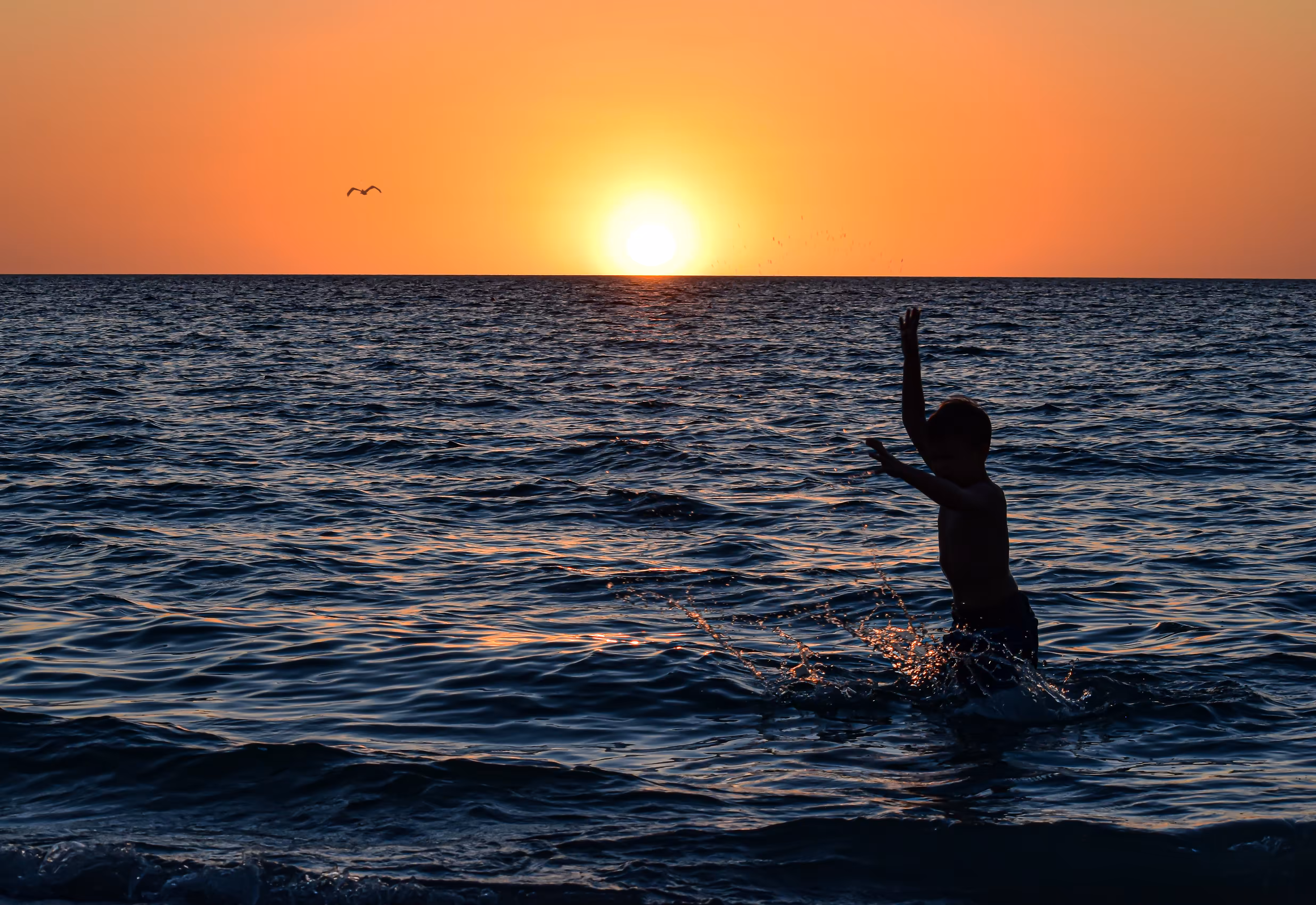 Last Splash