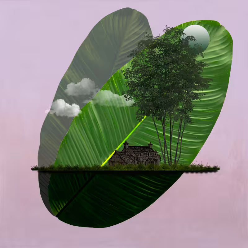Live in Nature #9