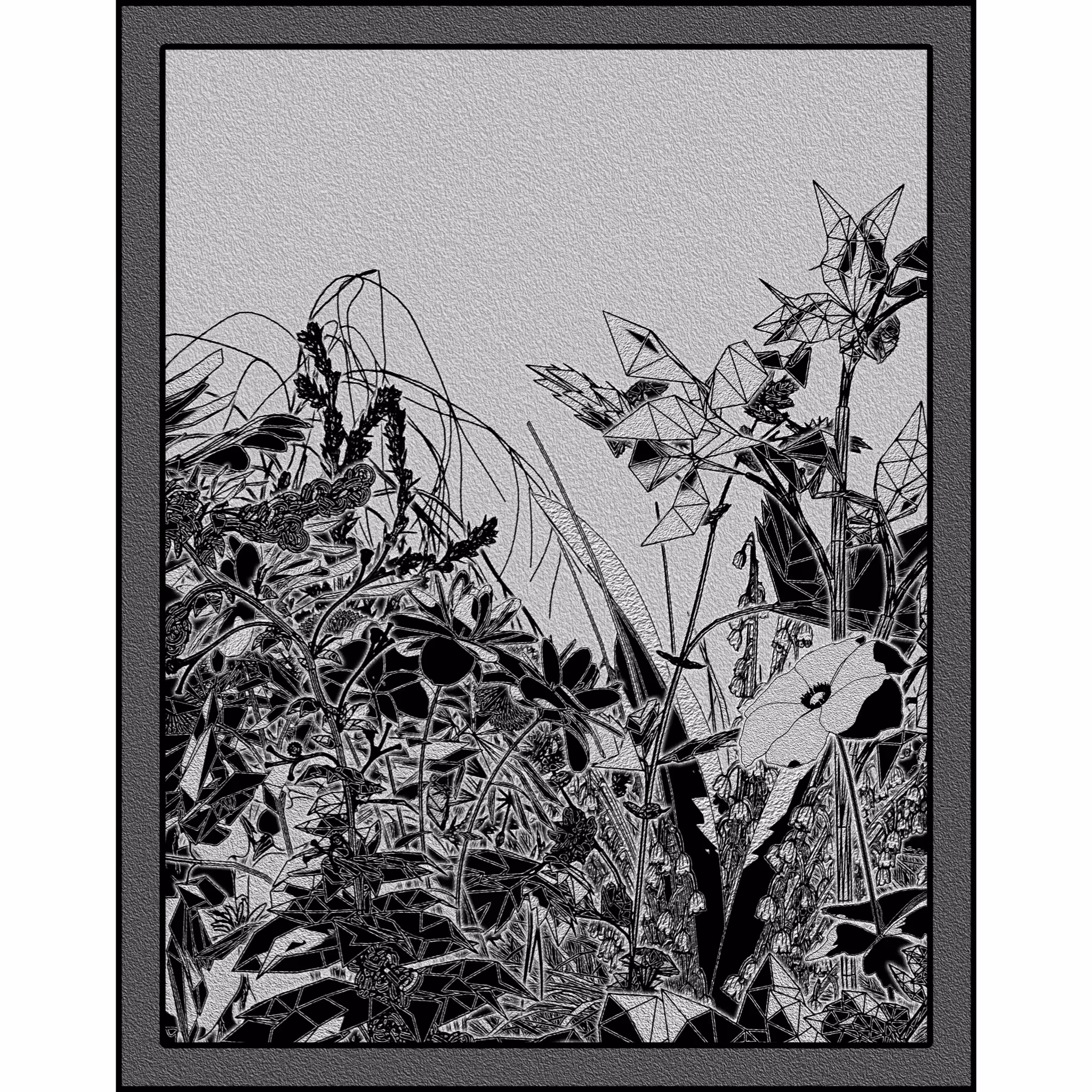 Flower View #280