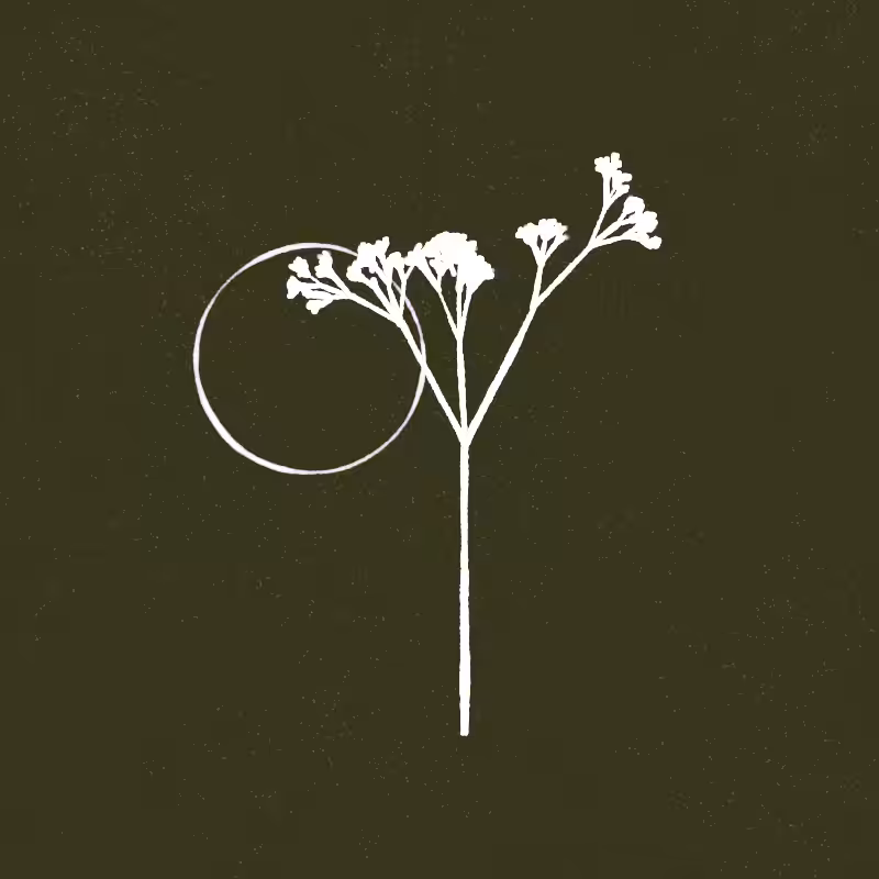 Hand-Drawn Tree #35