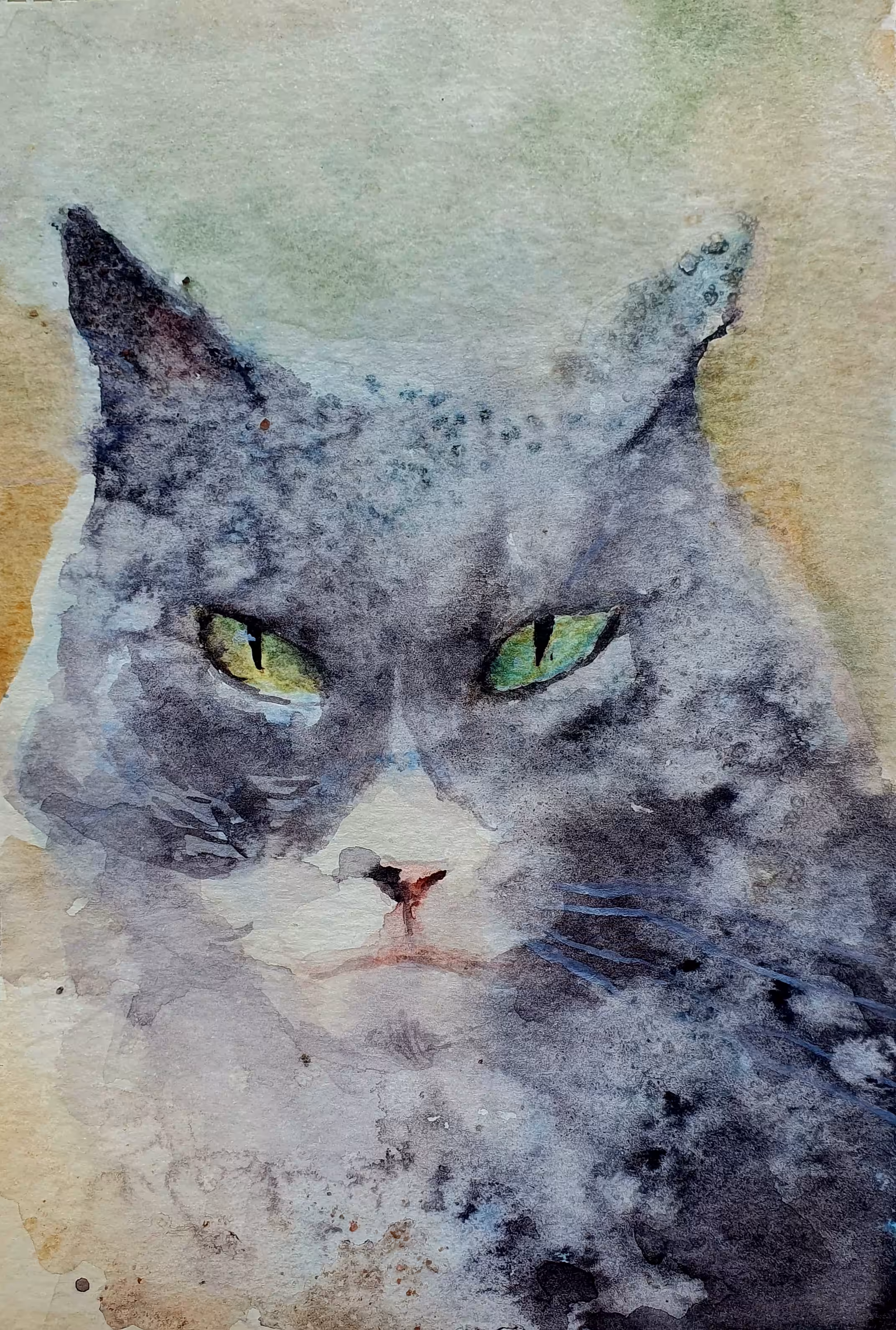 Earl Gray