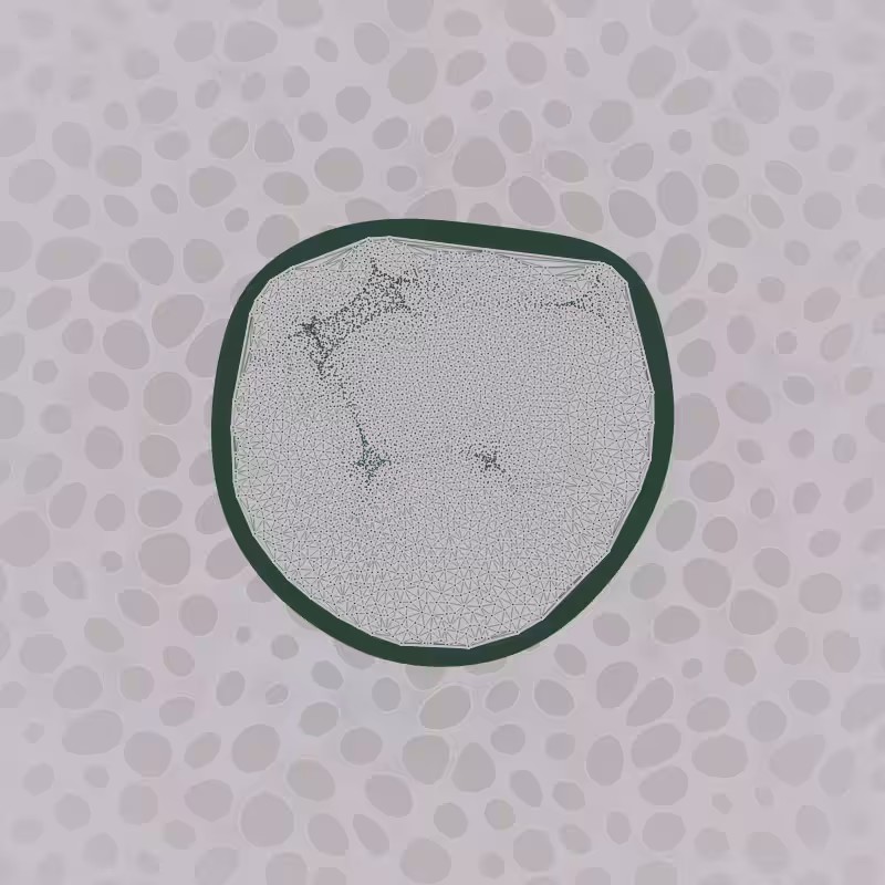 Protista #3