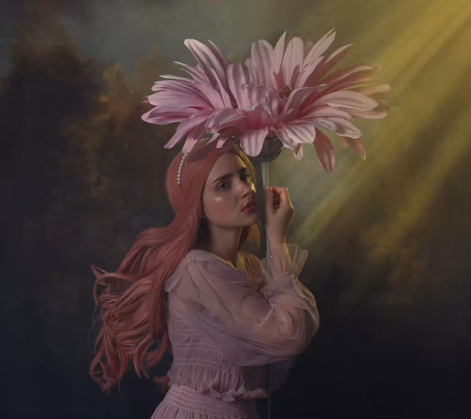 Gerbera