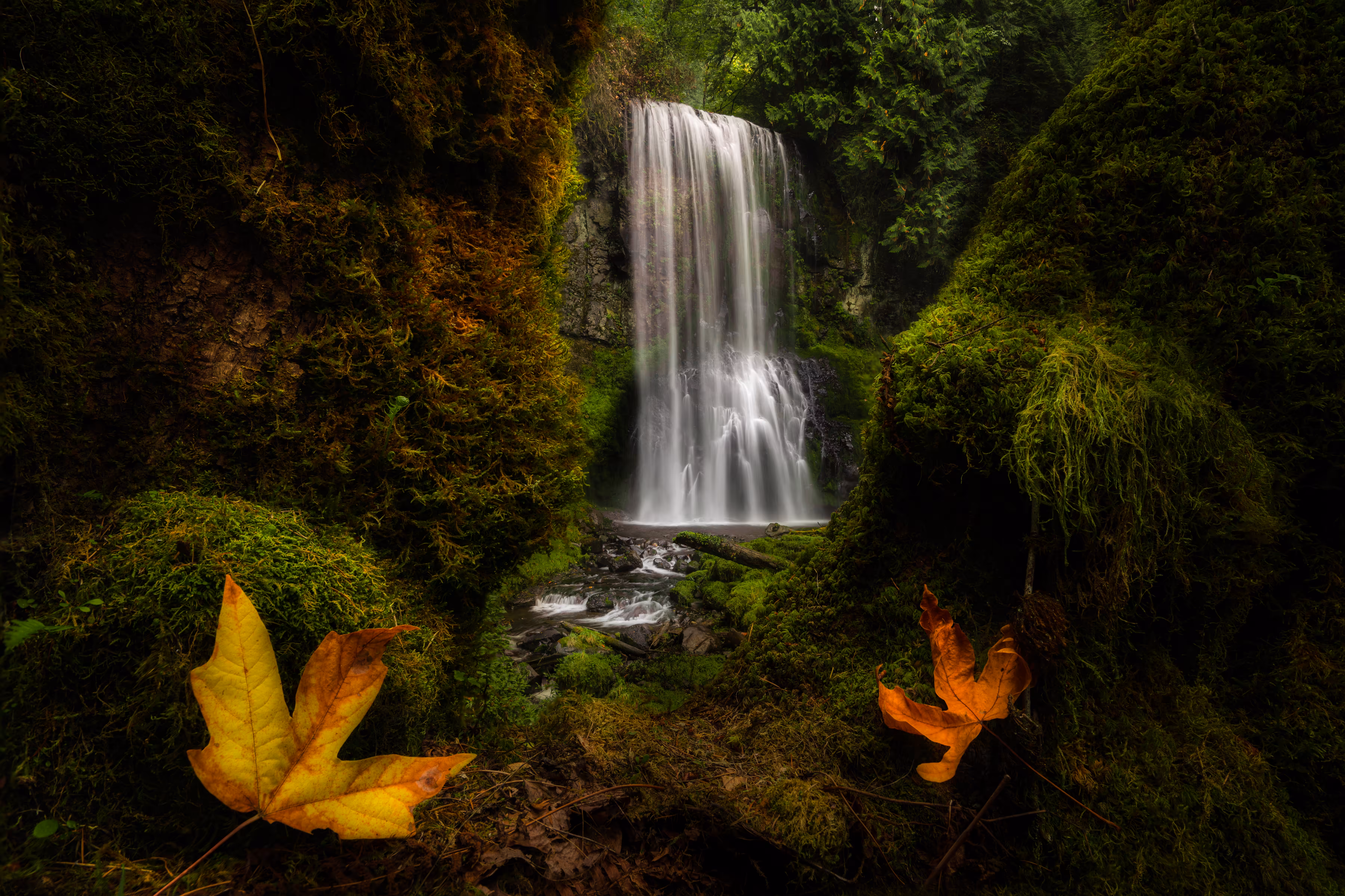 Ferngully Falls