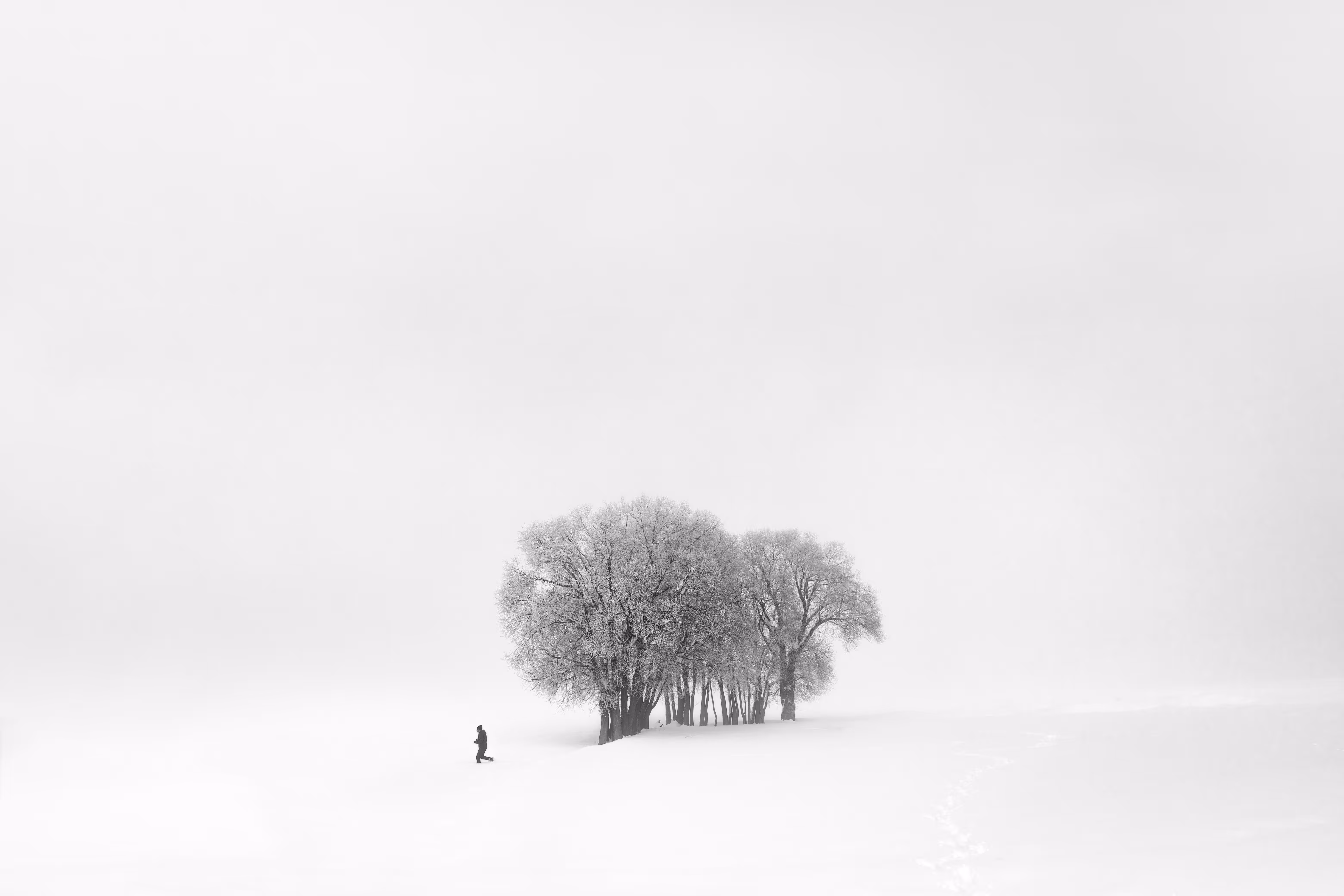 Snow #2