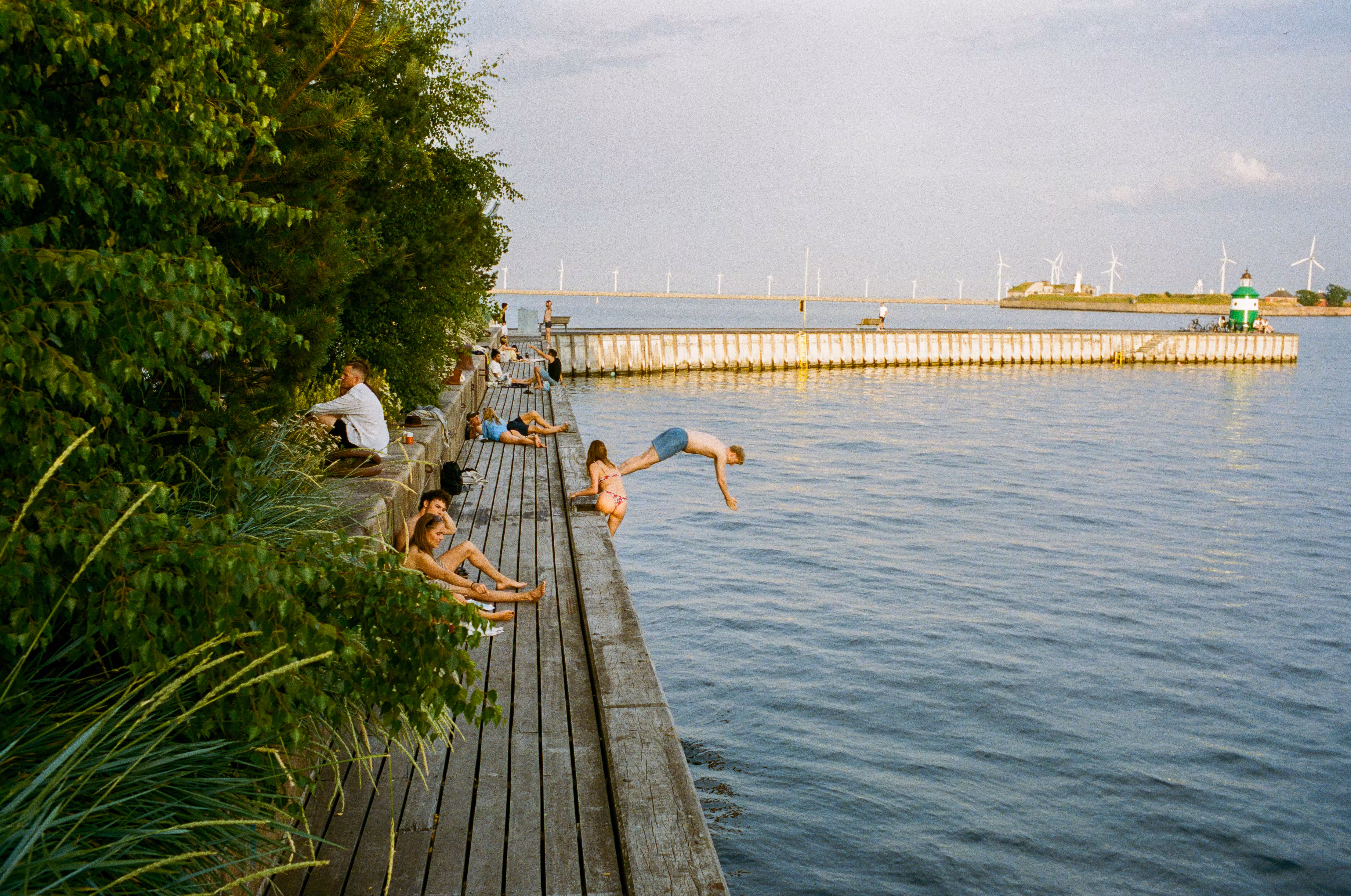 Dive