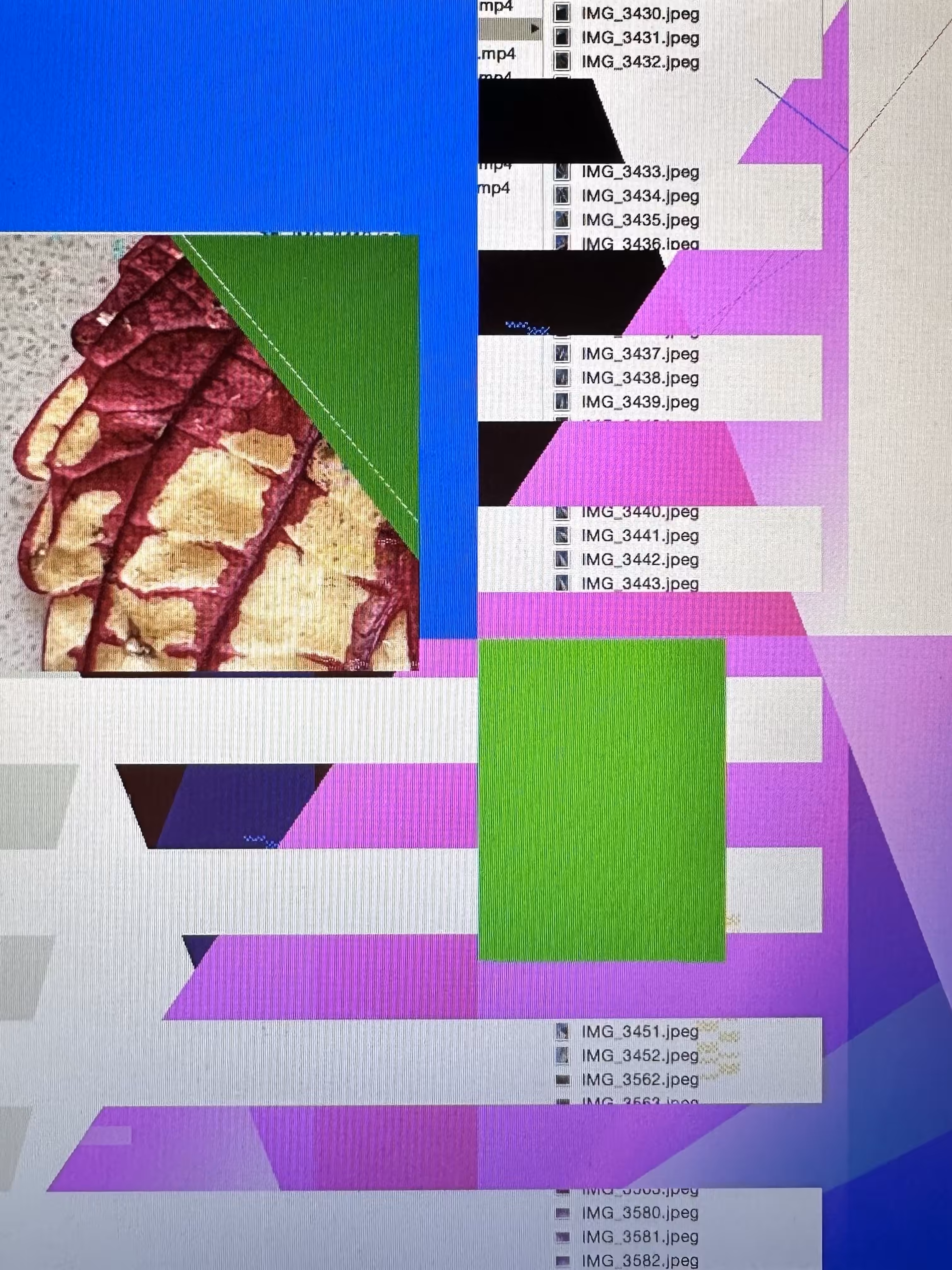 LOWREZ169