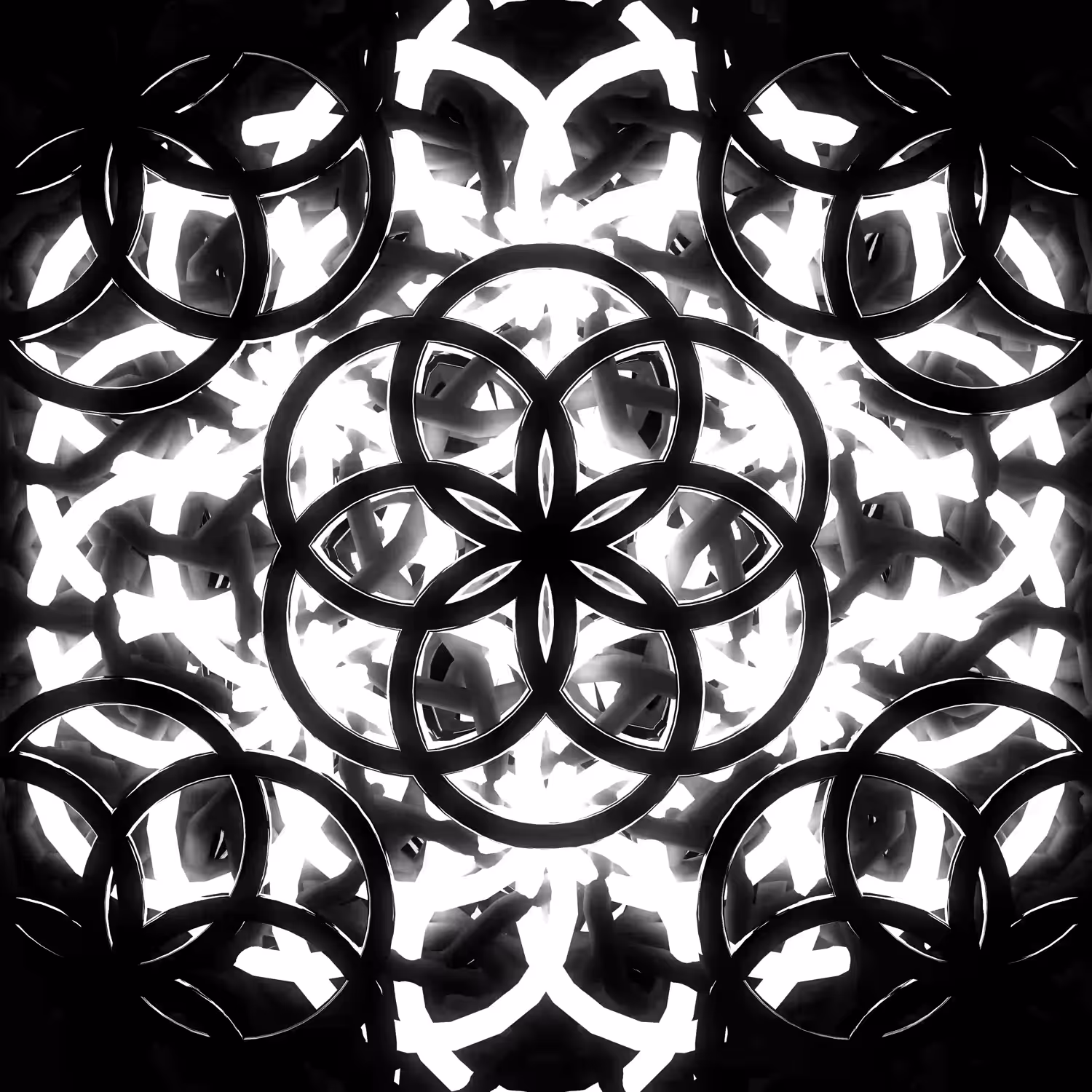 +SOUL Flower