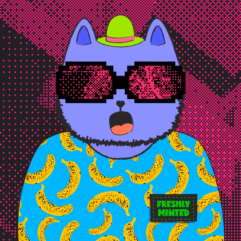 hash cats – genesis #479