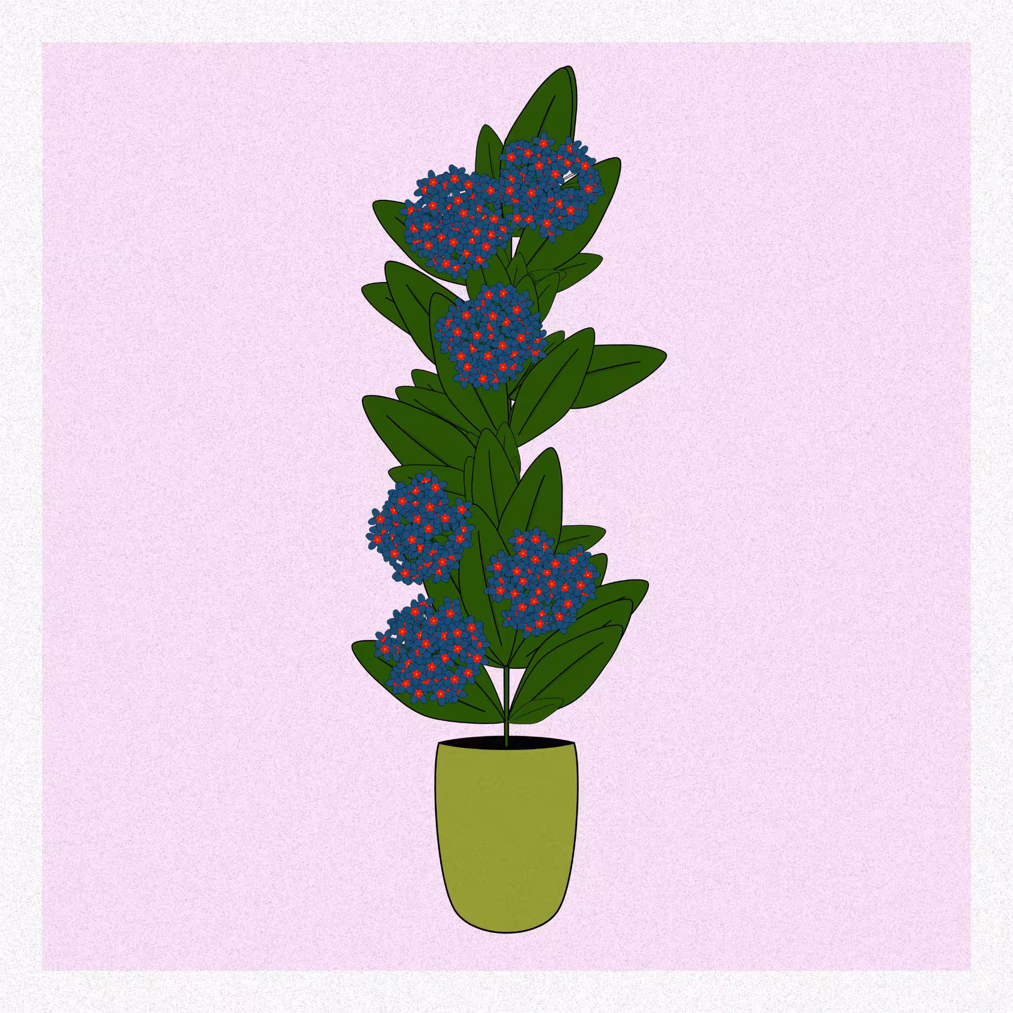 Flowers #92