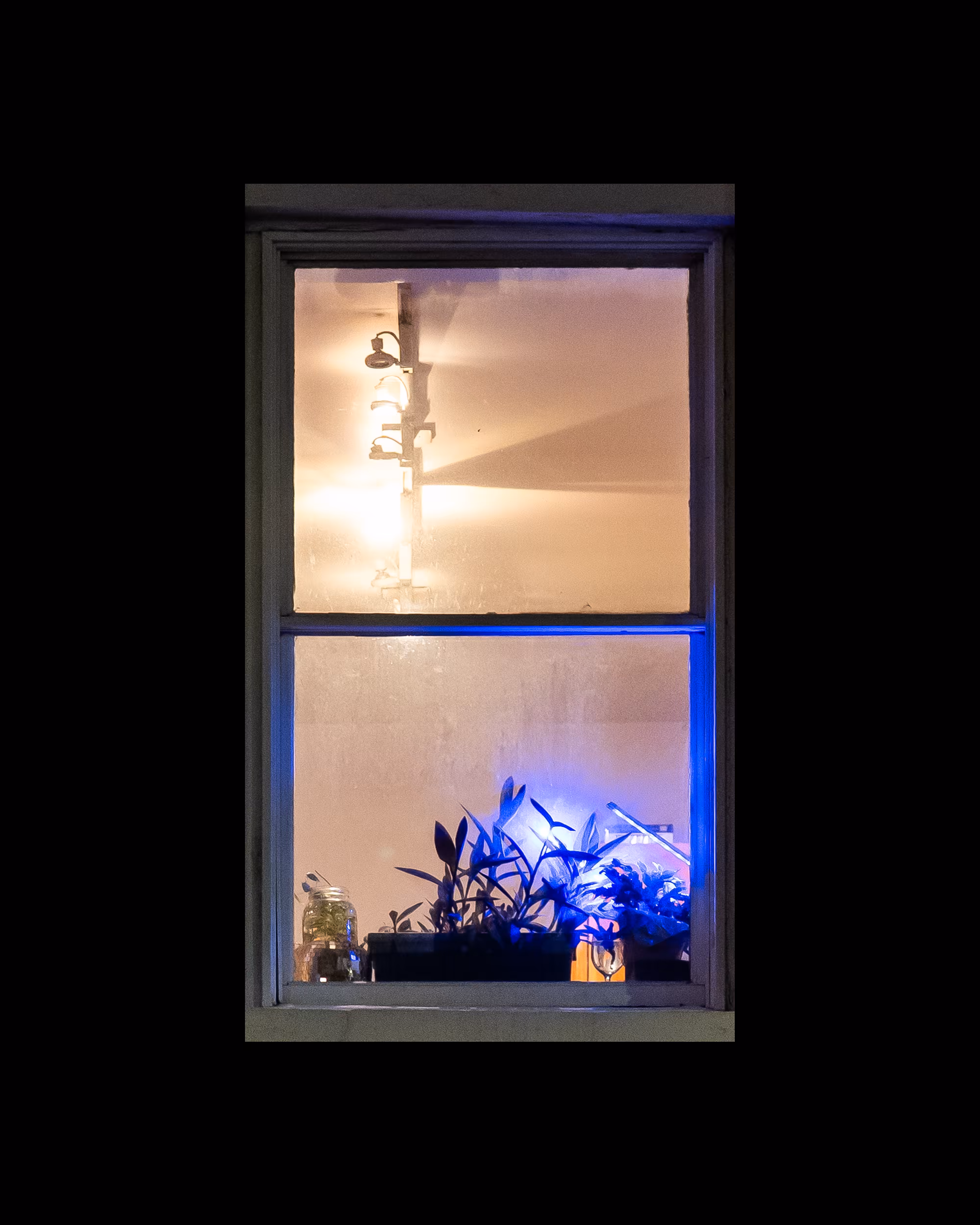 WINDOWS // NYC: WINDOW 218