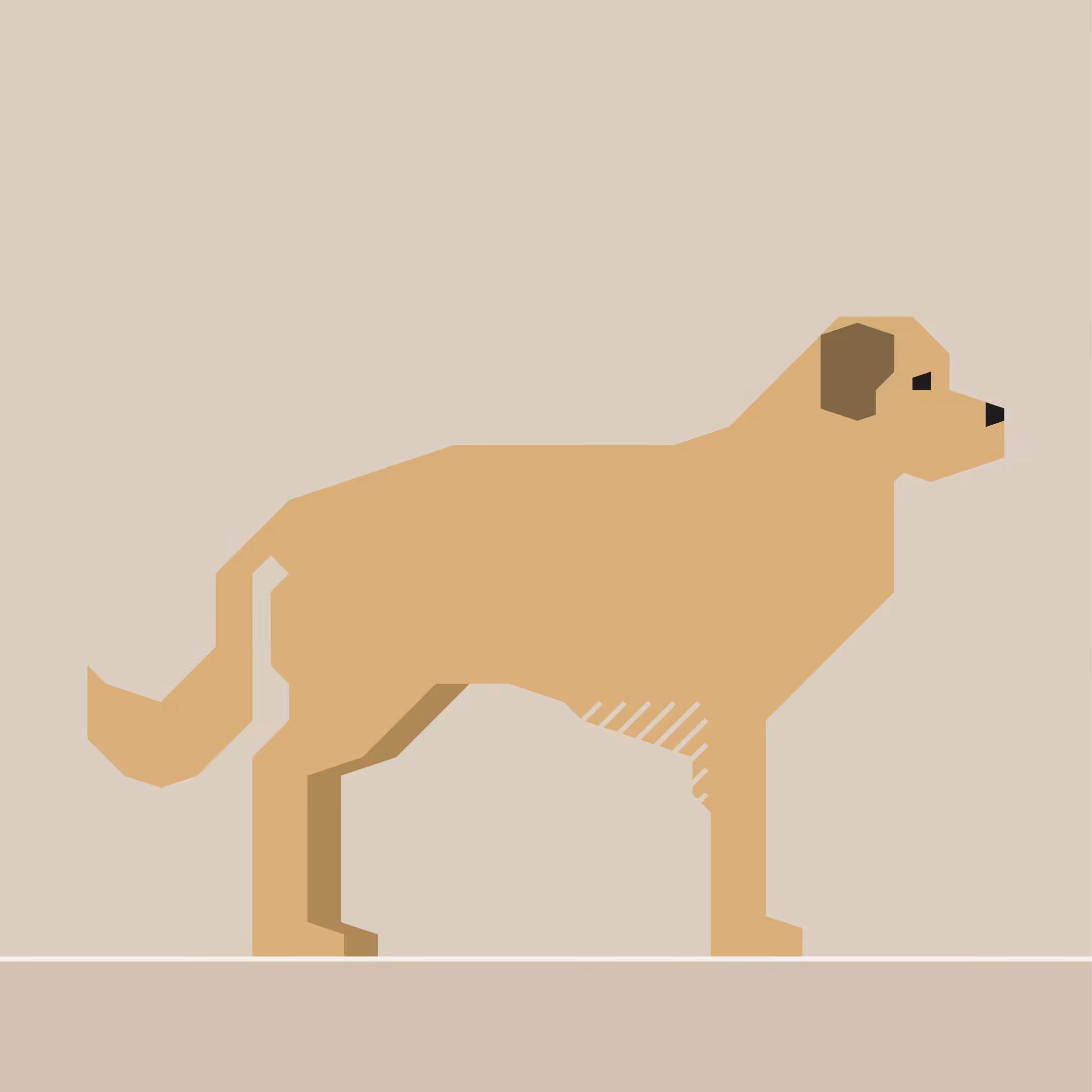 Estrela Mountain Dog