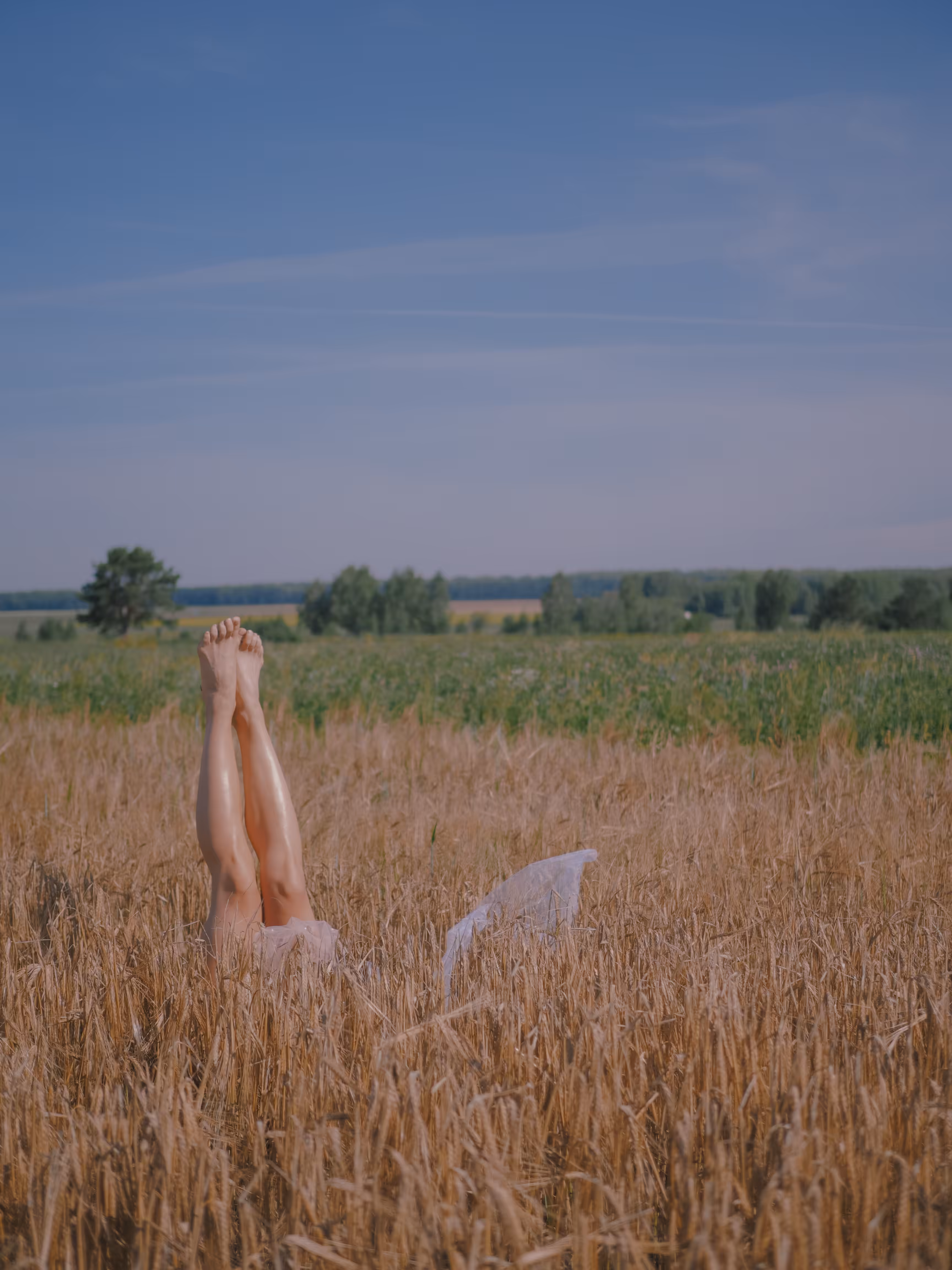 ears of wheat