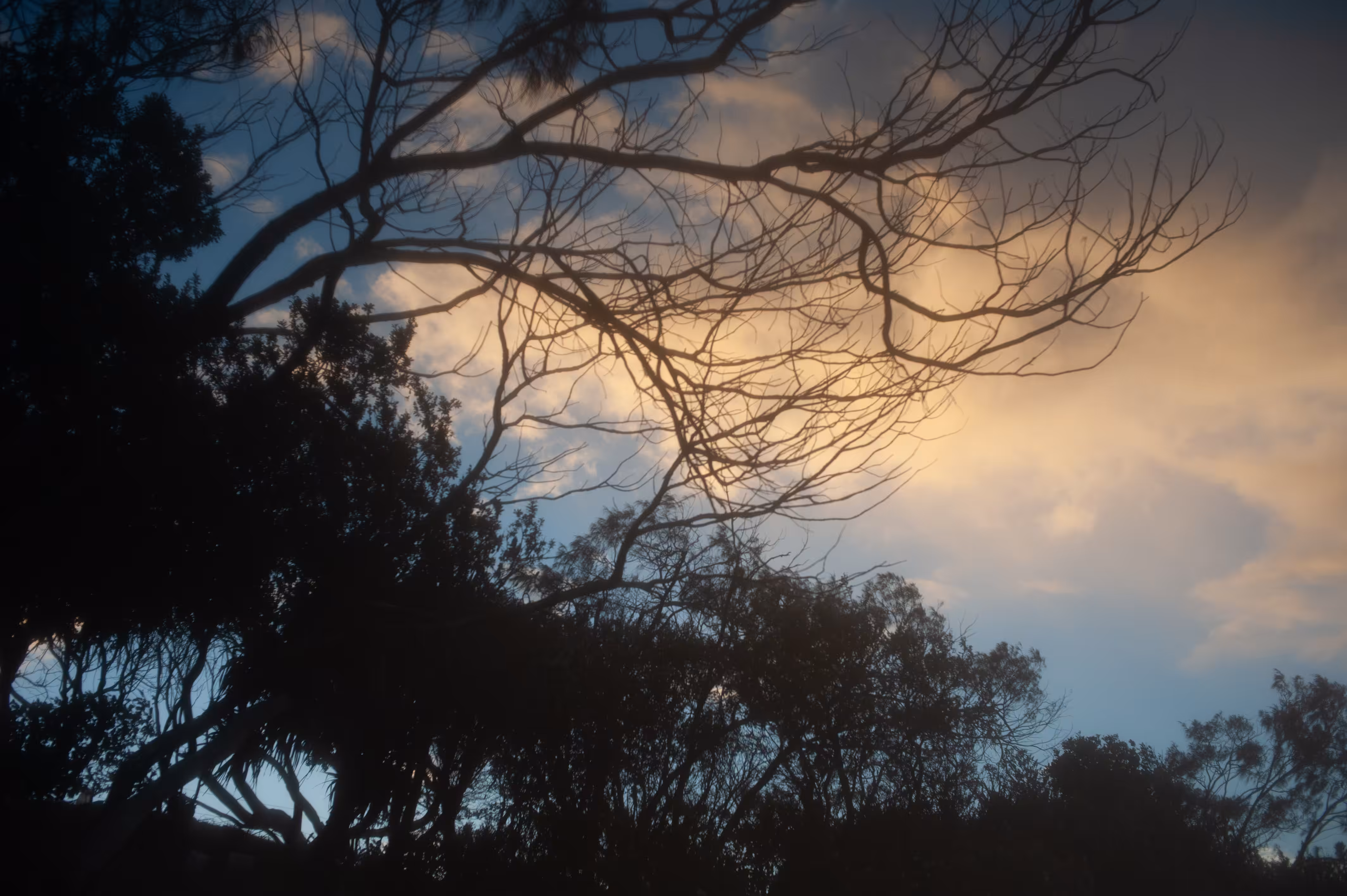 Day52- Passing days/separate paths