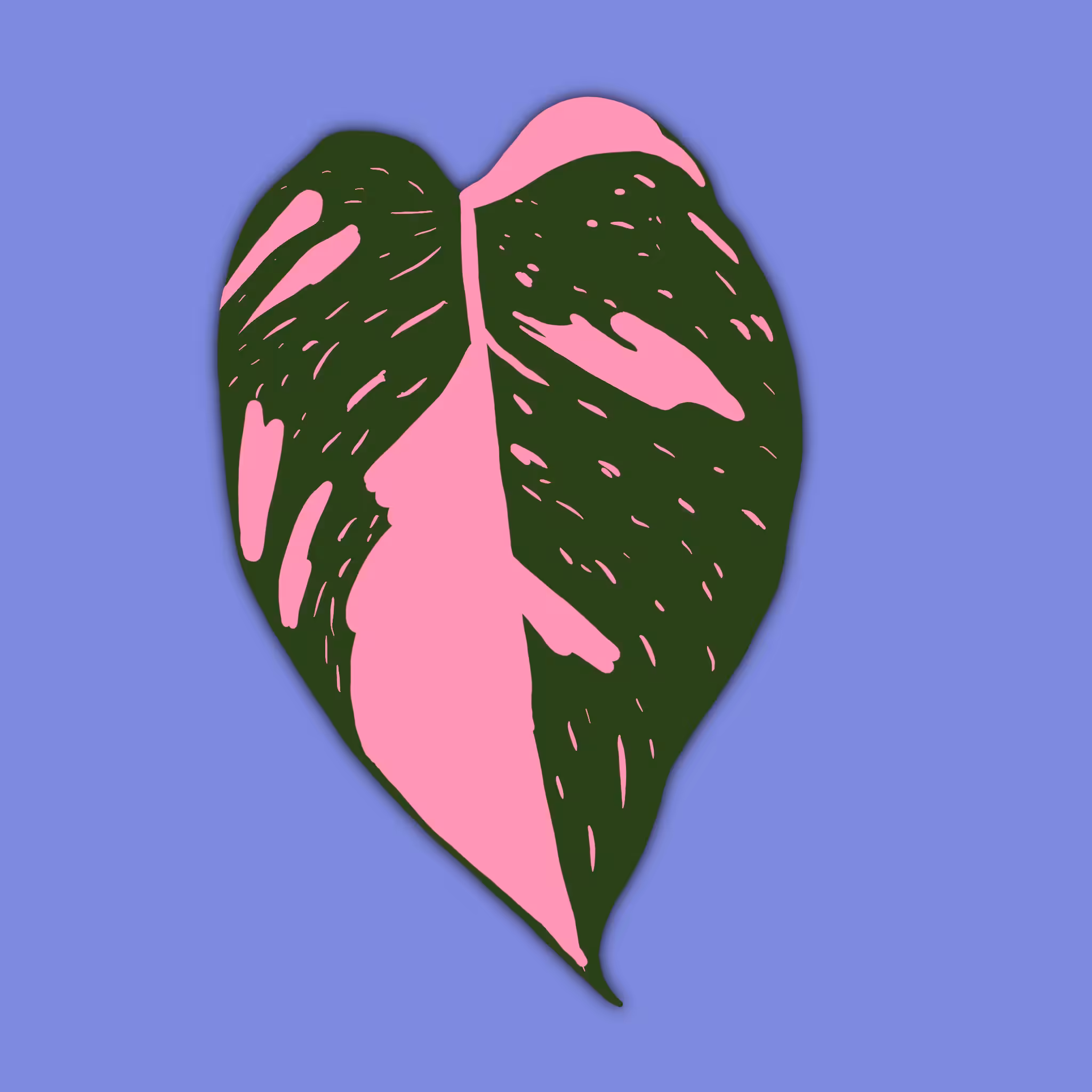 #1 / Pink Princess Philodendron