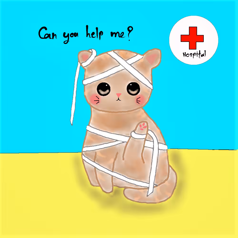 Sick Kitty