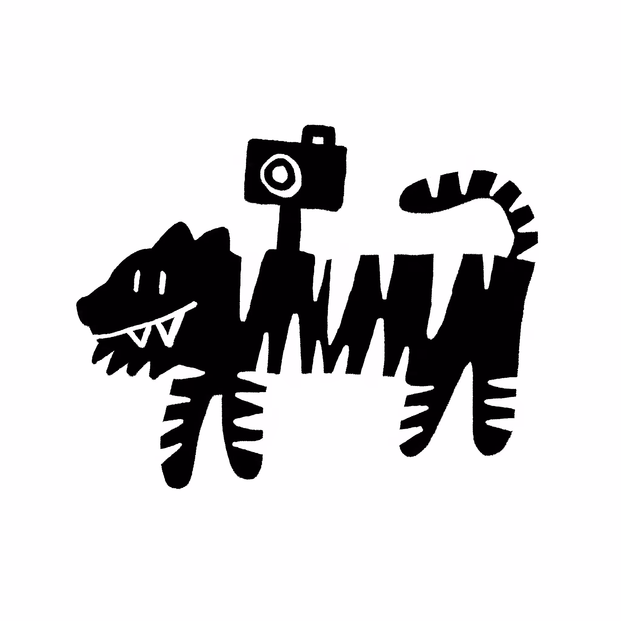 Tiger Camera