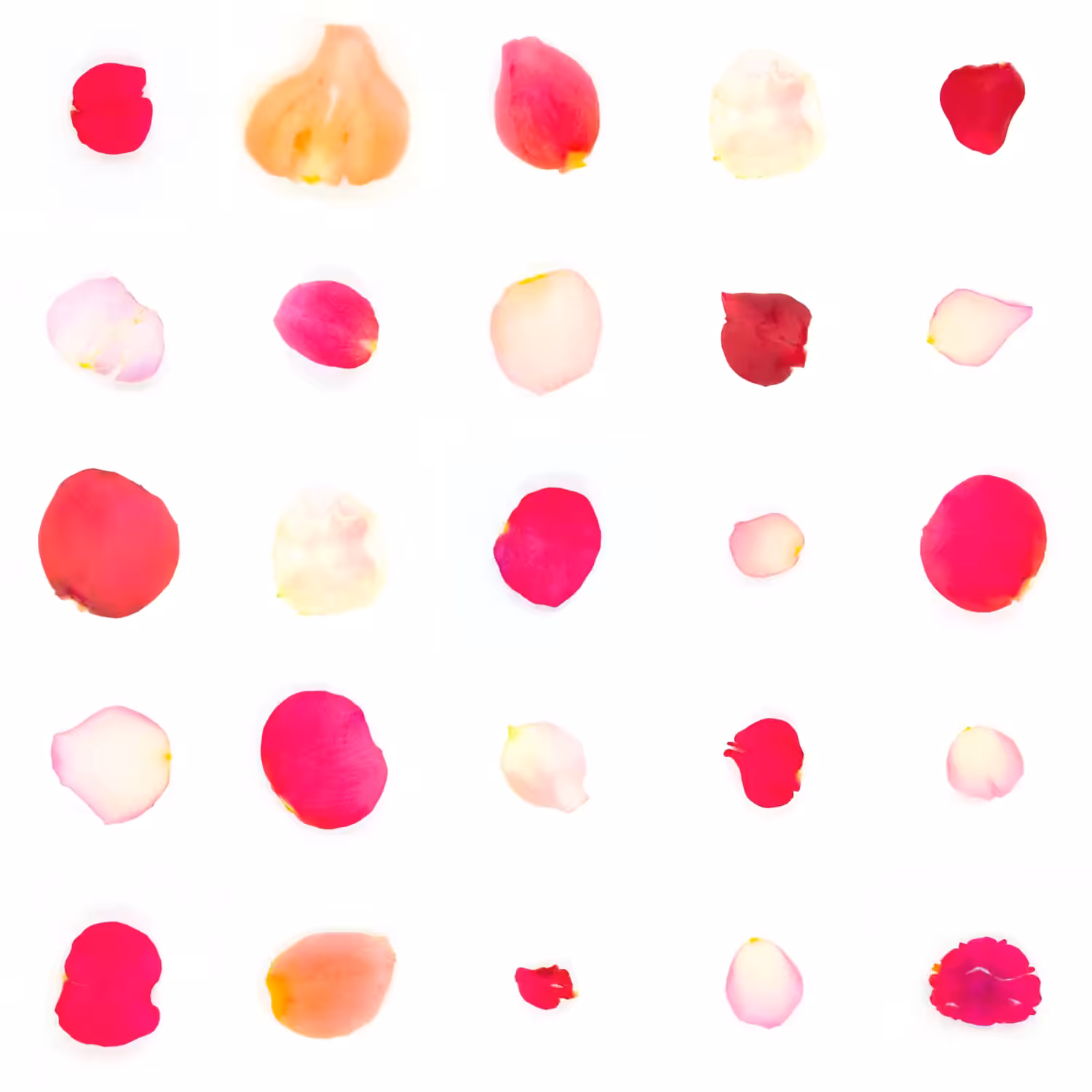 Infinite Petals 5x5#20394