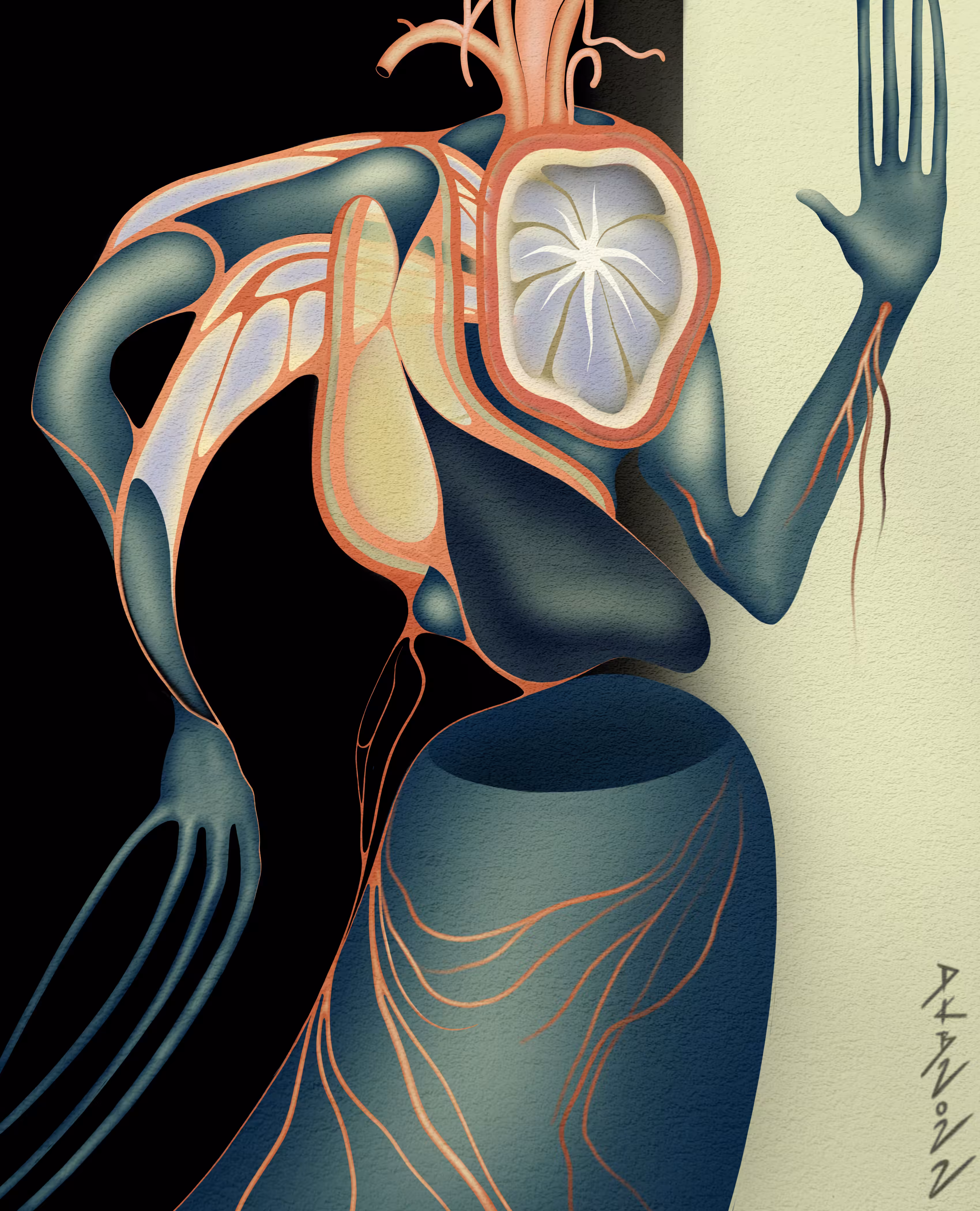 Anatomy Fiction 2