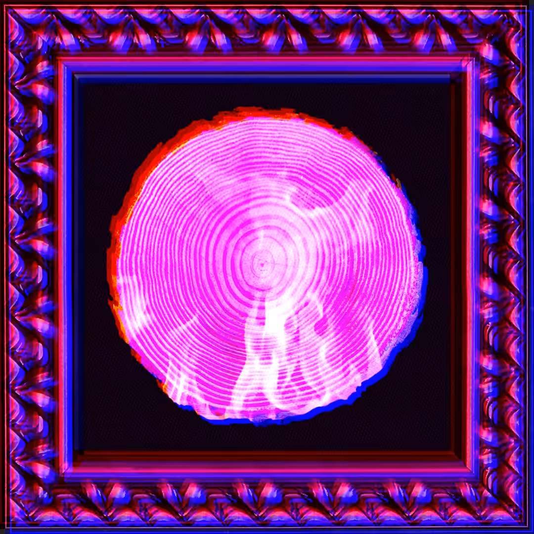 ⓿⓿❽ - self destruction