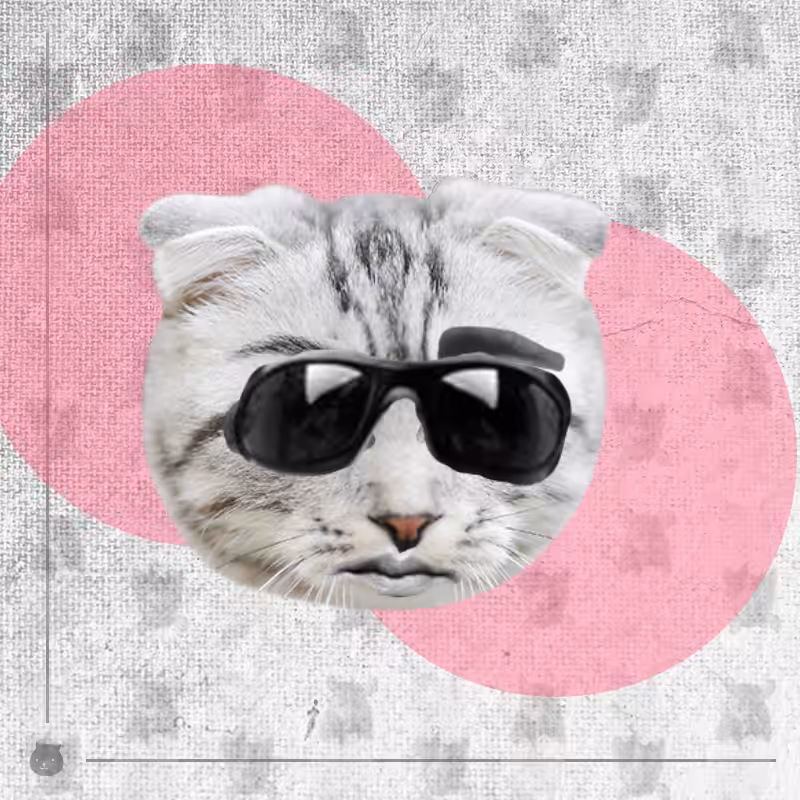 Kittenstein #36