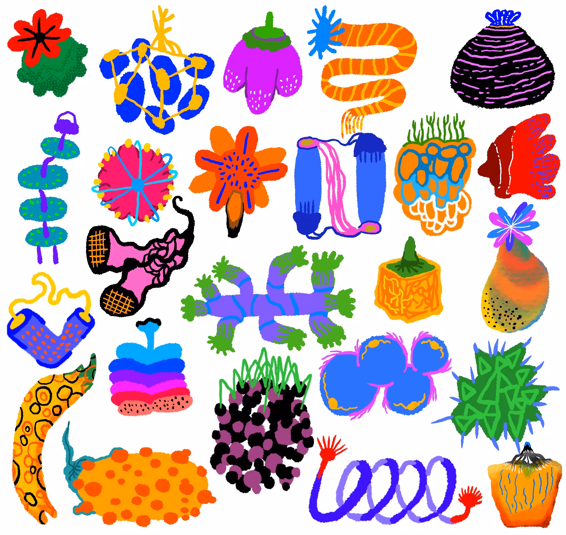 fruits