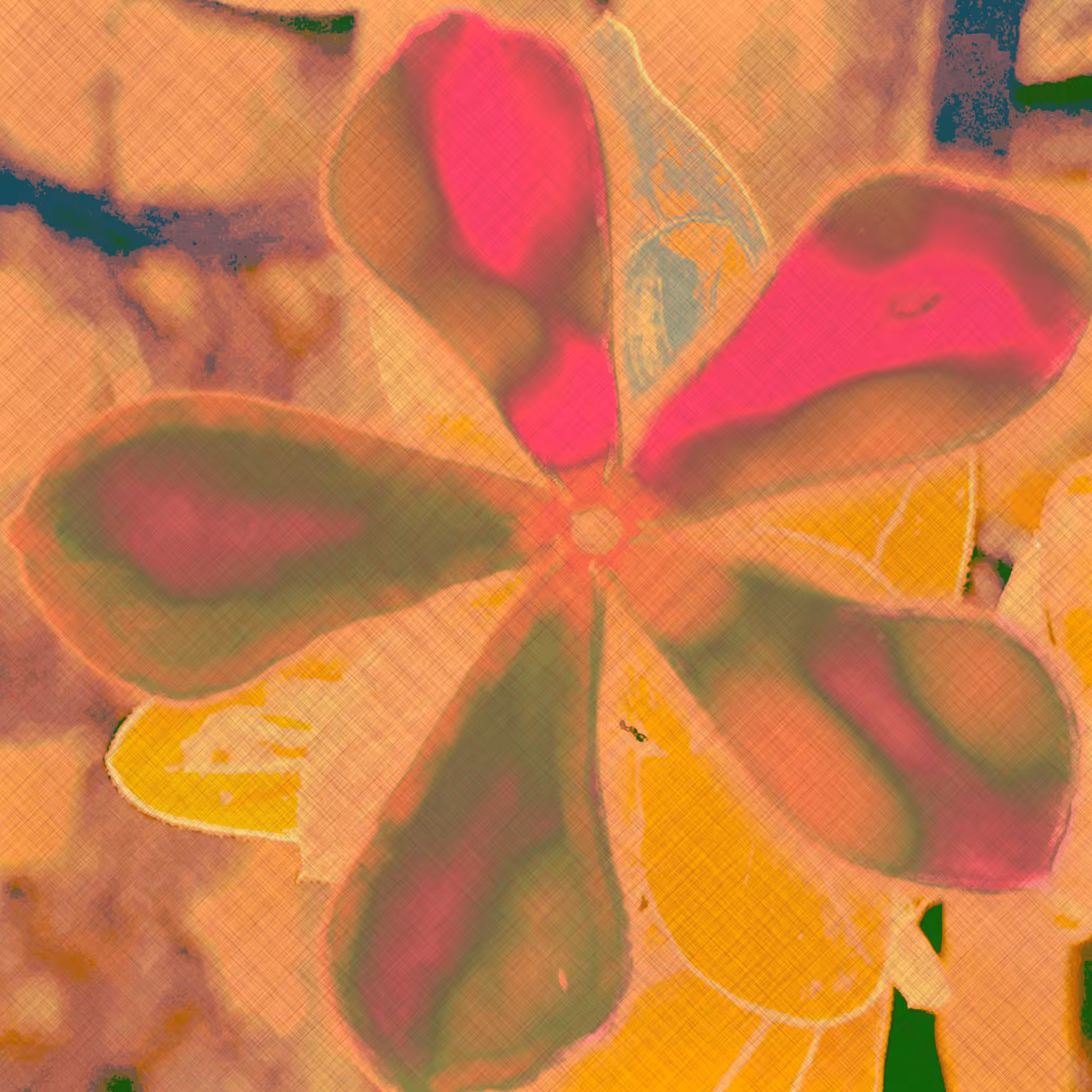 Vinca