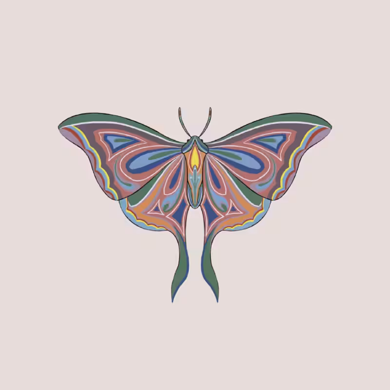 The Moth Experiment 2.0 P2 #31