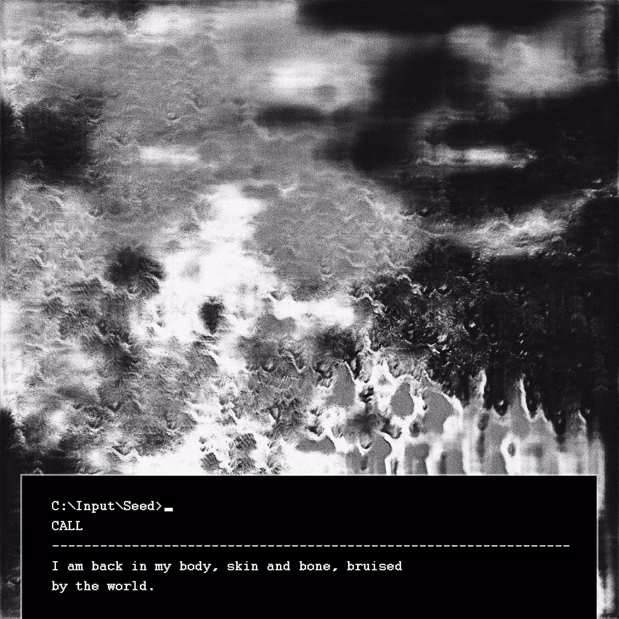 Seeds and Ashes - 8. call