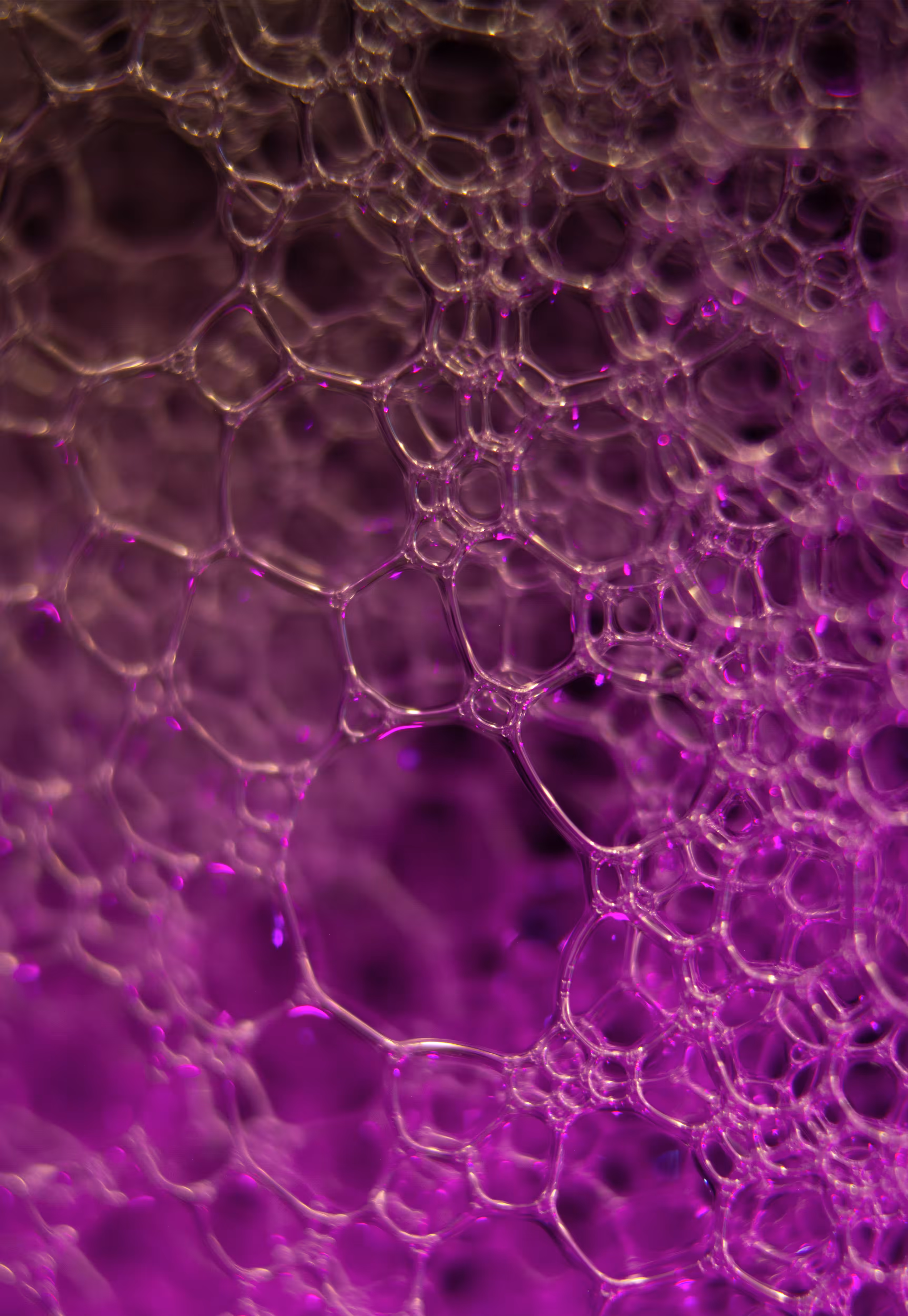 Abstract World of Soap Bubbles: #192 Bubbles