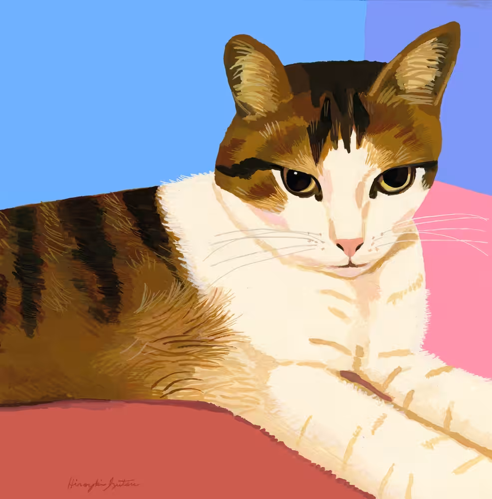 A cat sitting on the floor in pink.