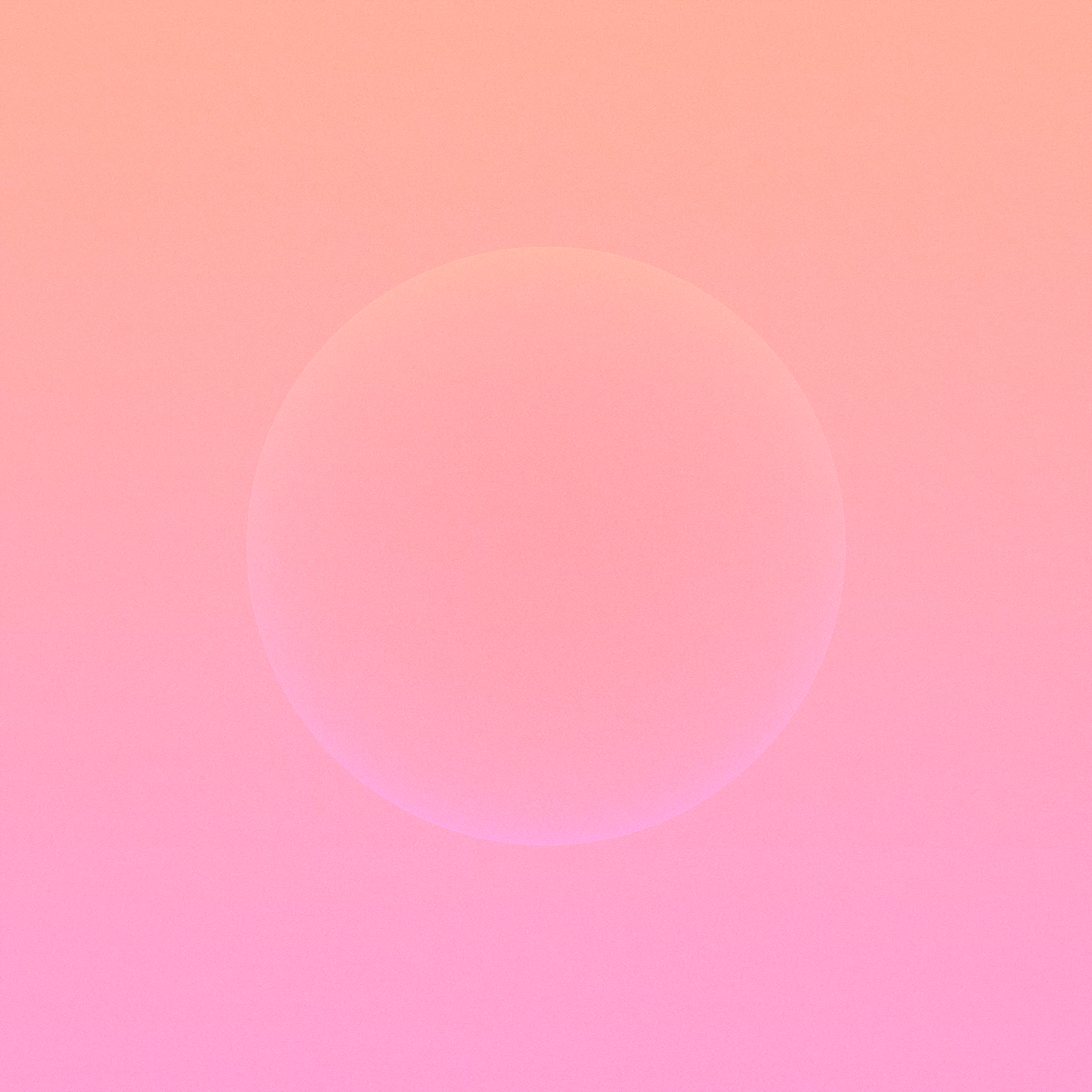 with the light 48