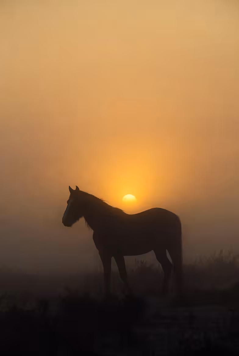 Before the First Light