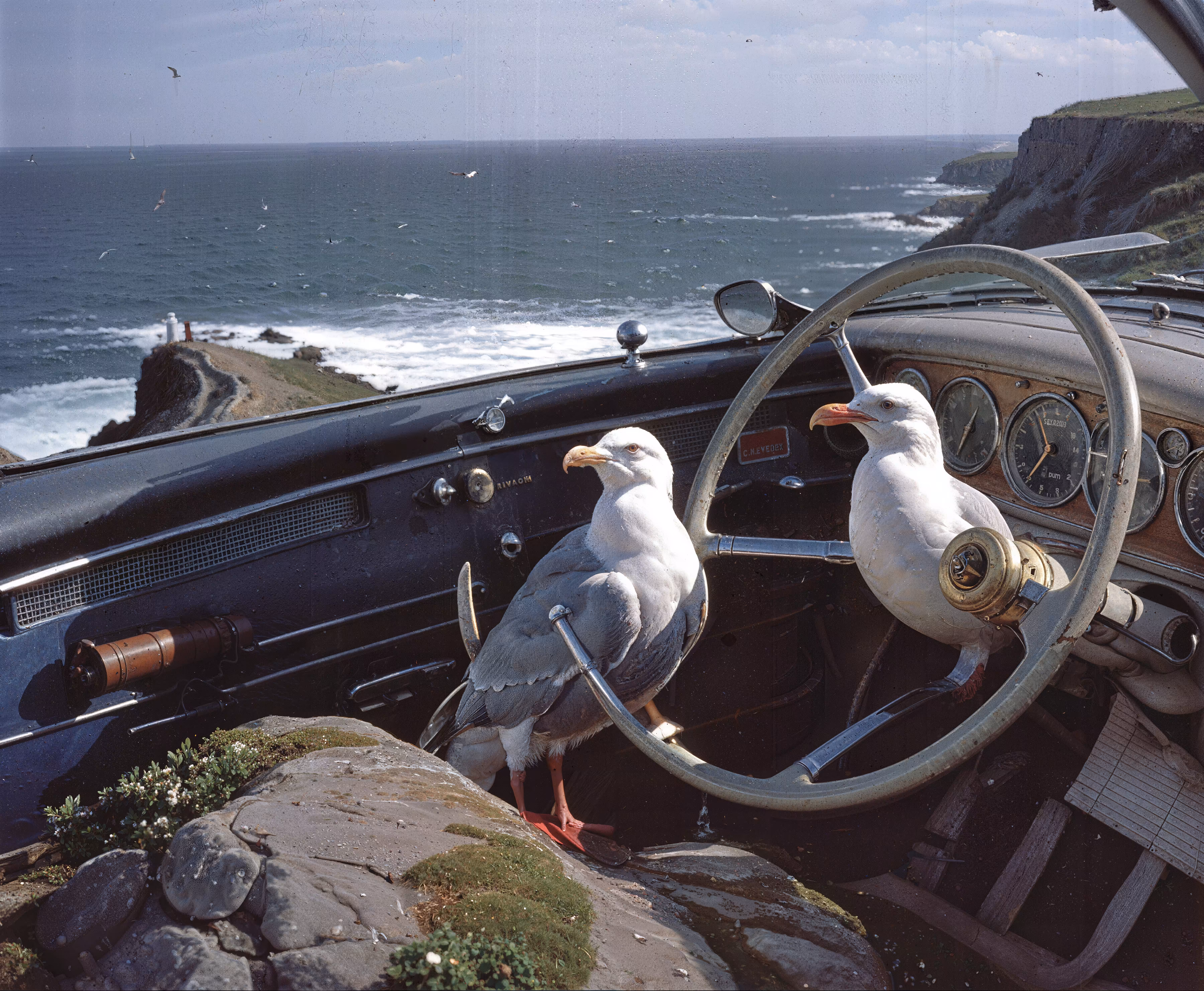 Empire: The Gull and Gear