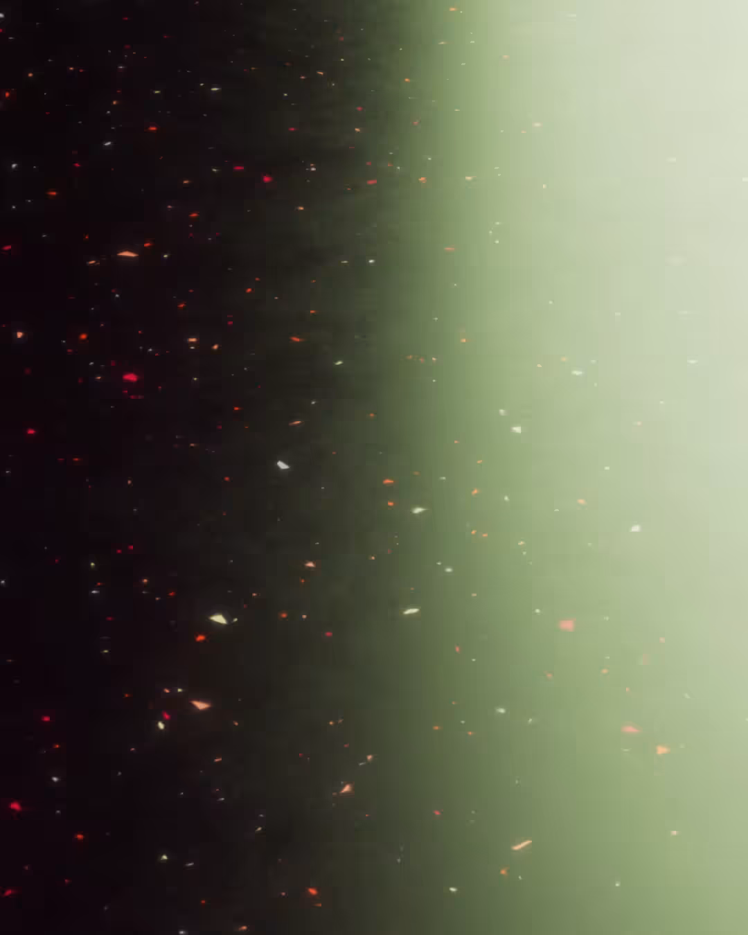 24008