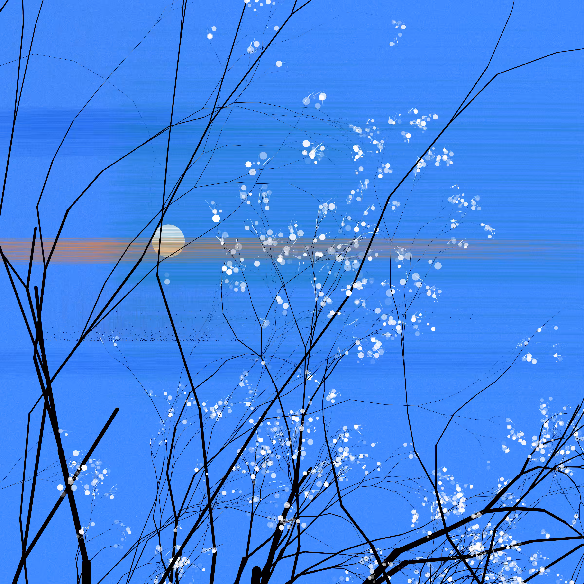 conversation with the wind #478