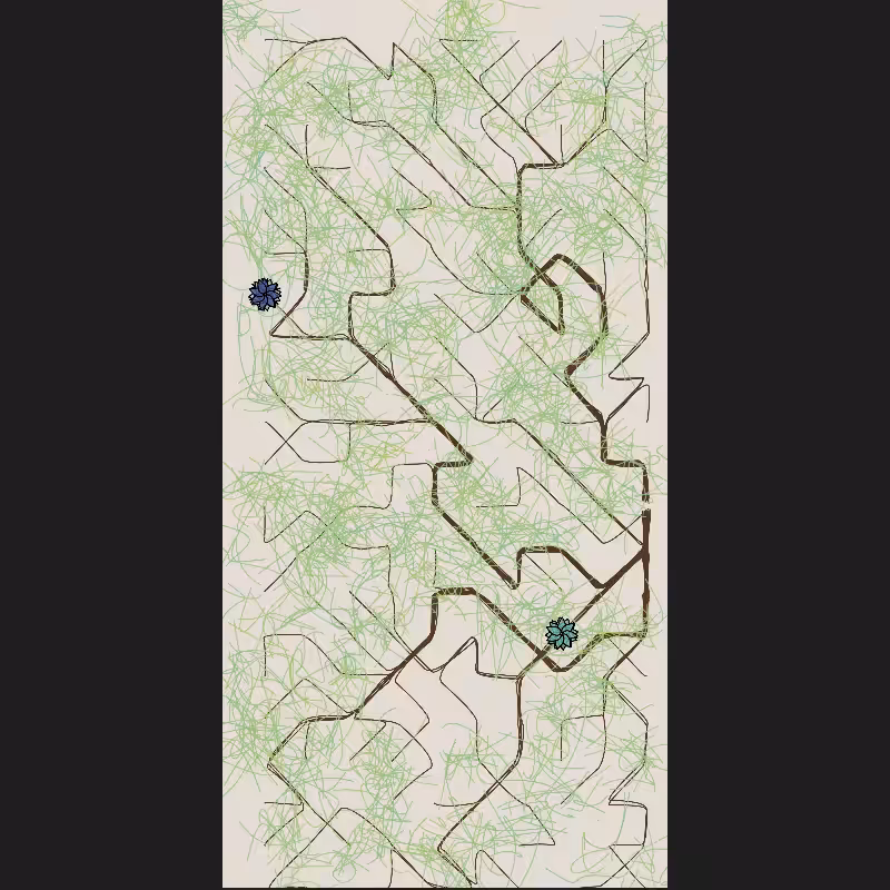The Root #10