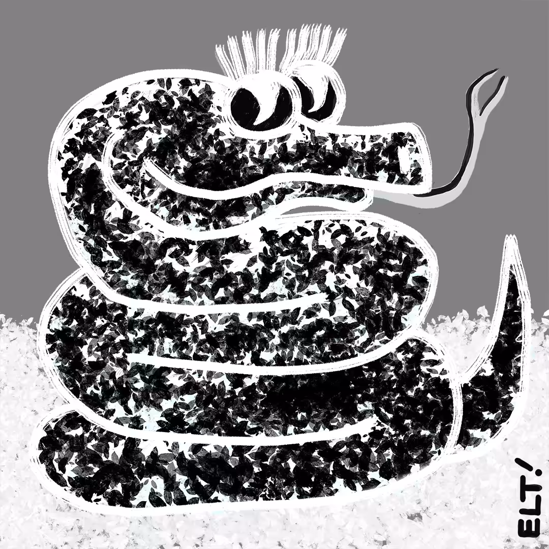 Fancy Snake #7