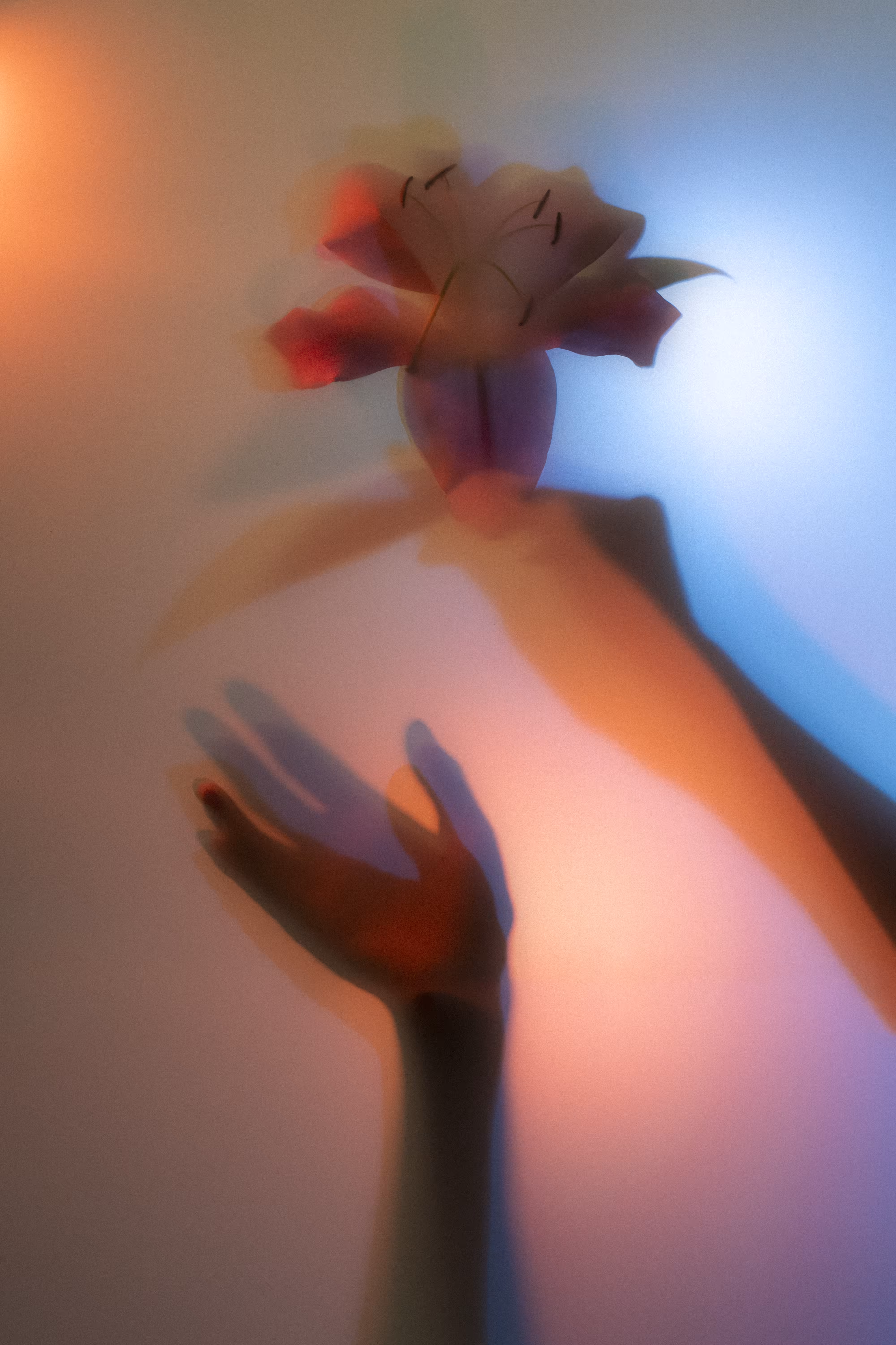 Inaccessible Beauty