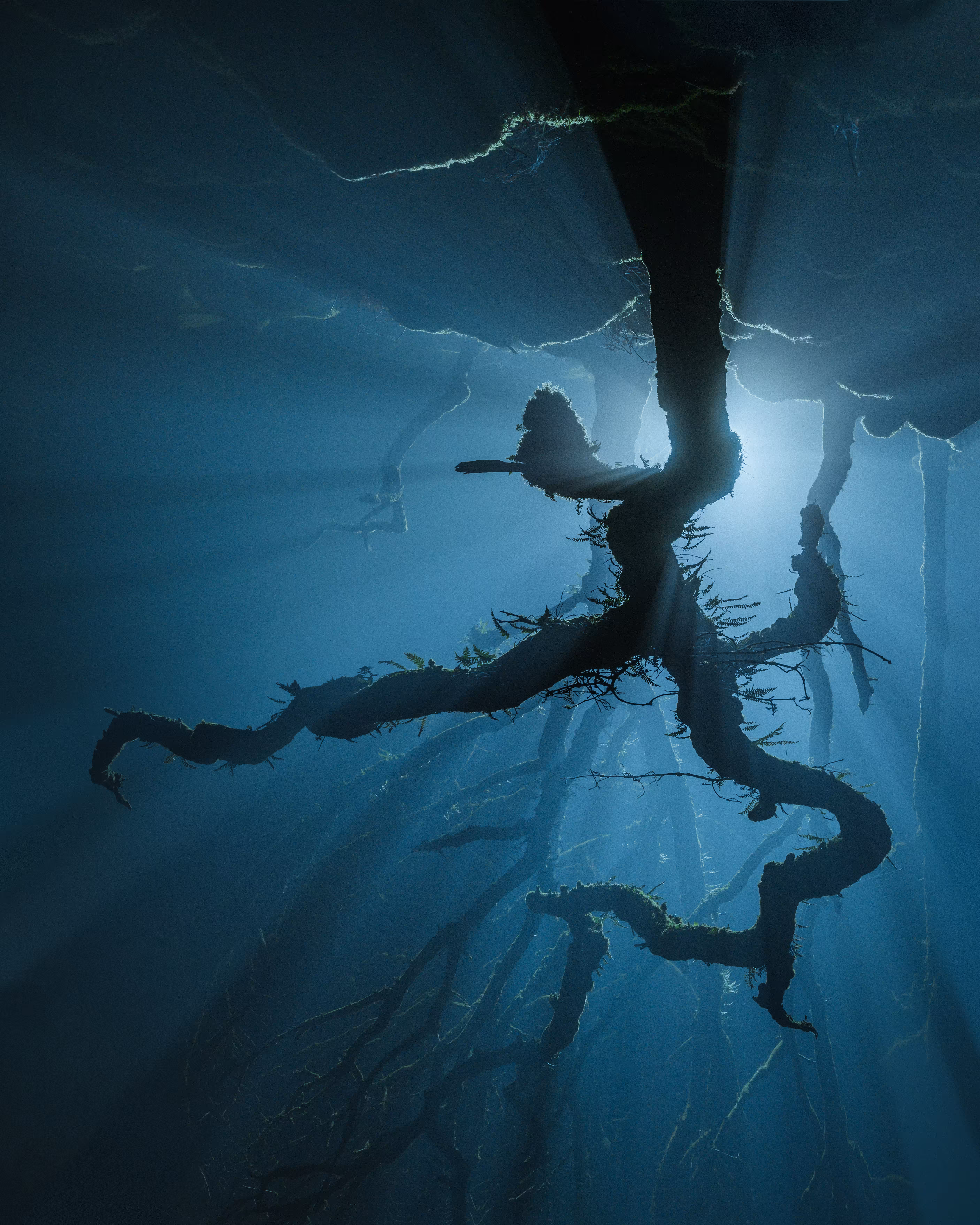 The Upside Down