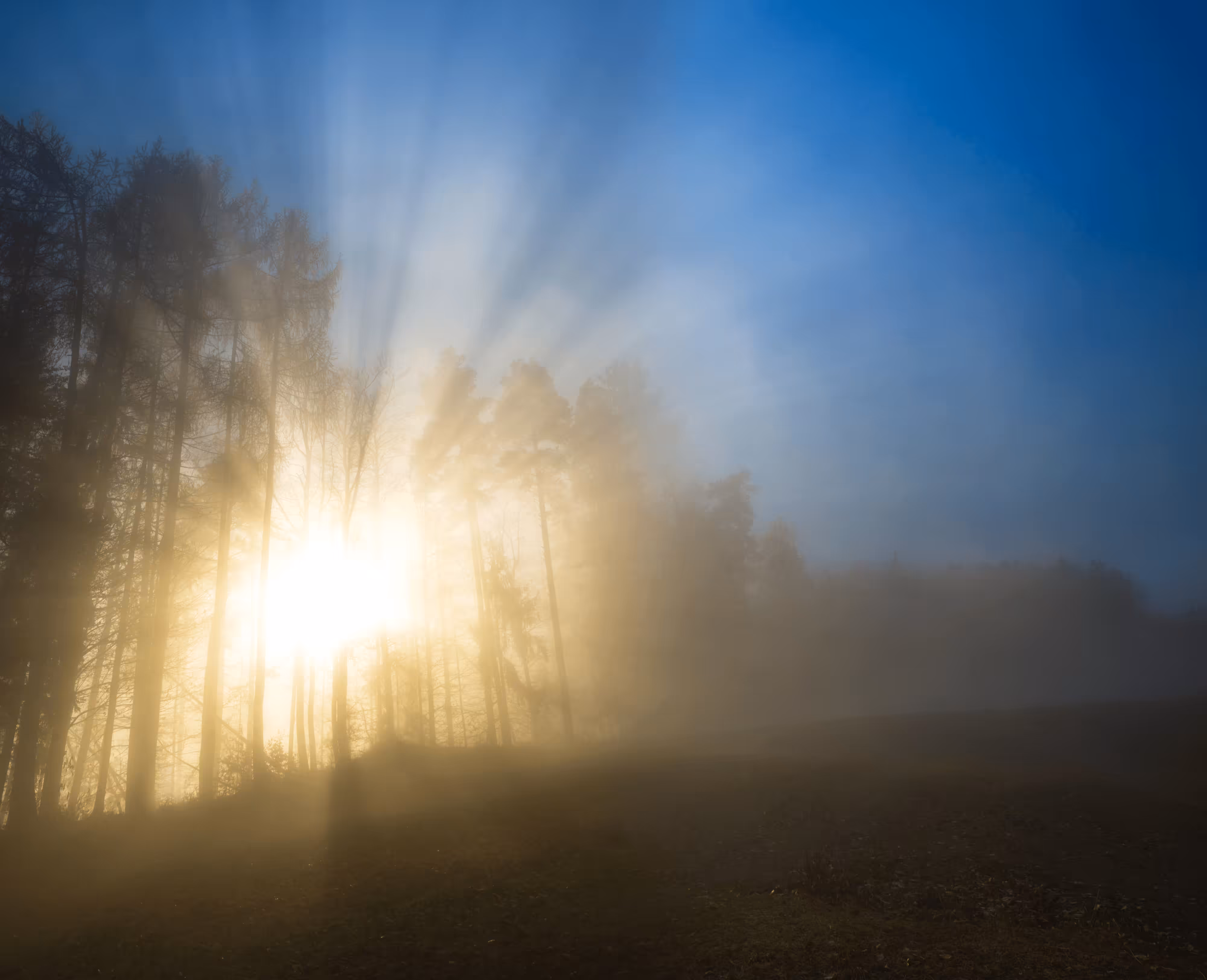 Landscape #10 - Sunrise