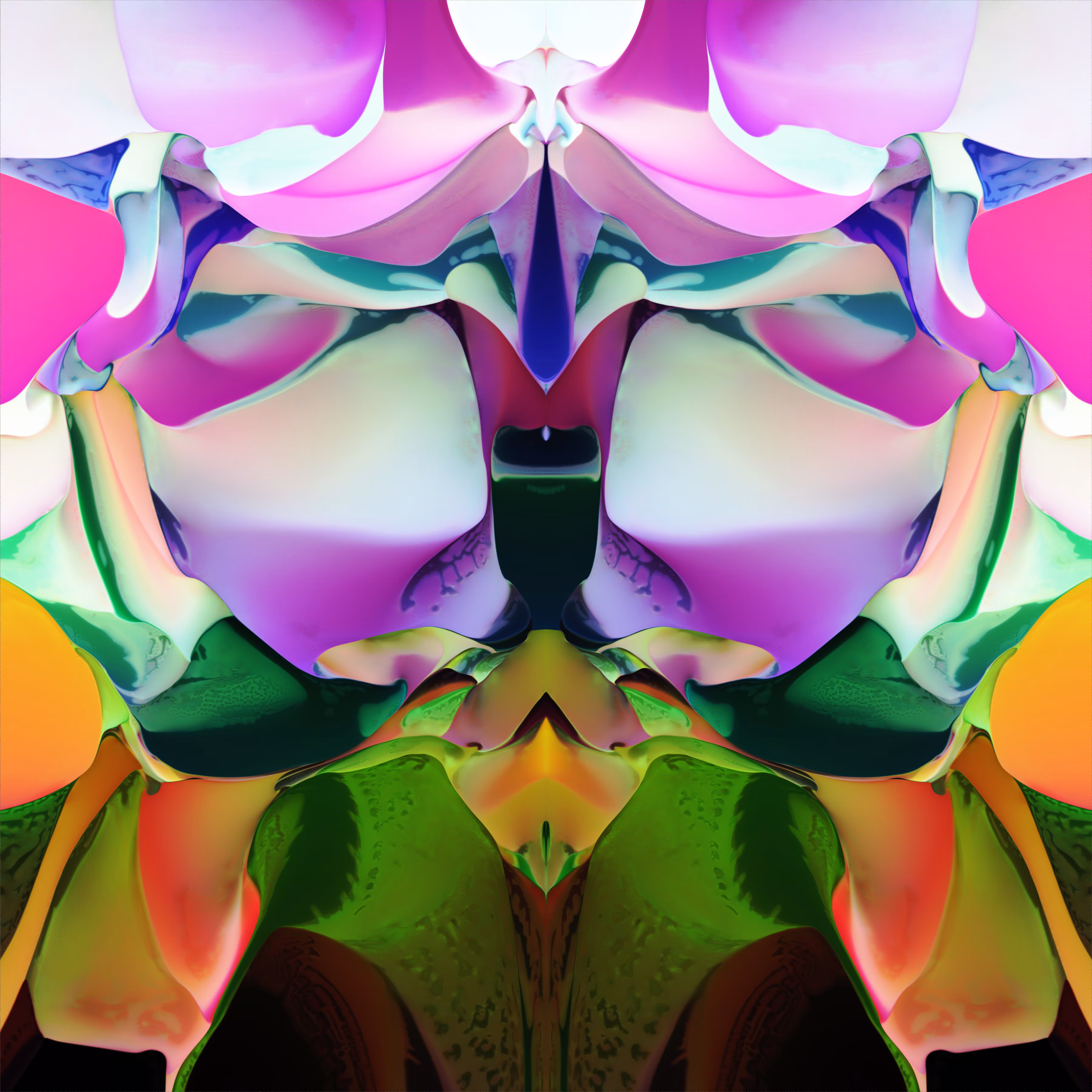 Not Orchid C