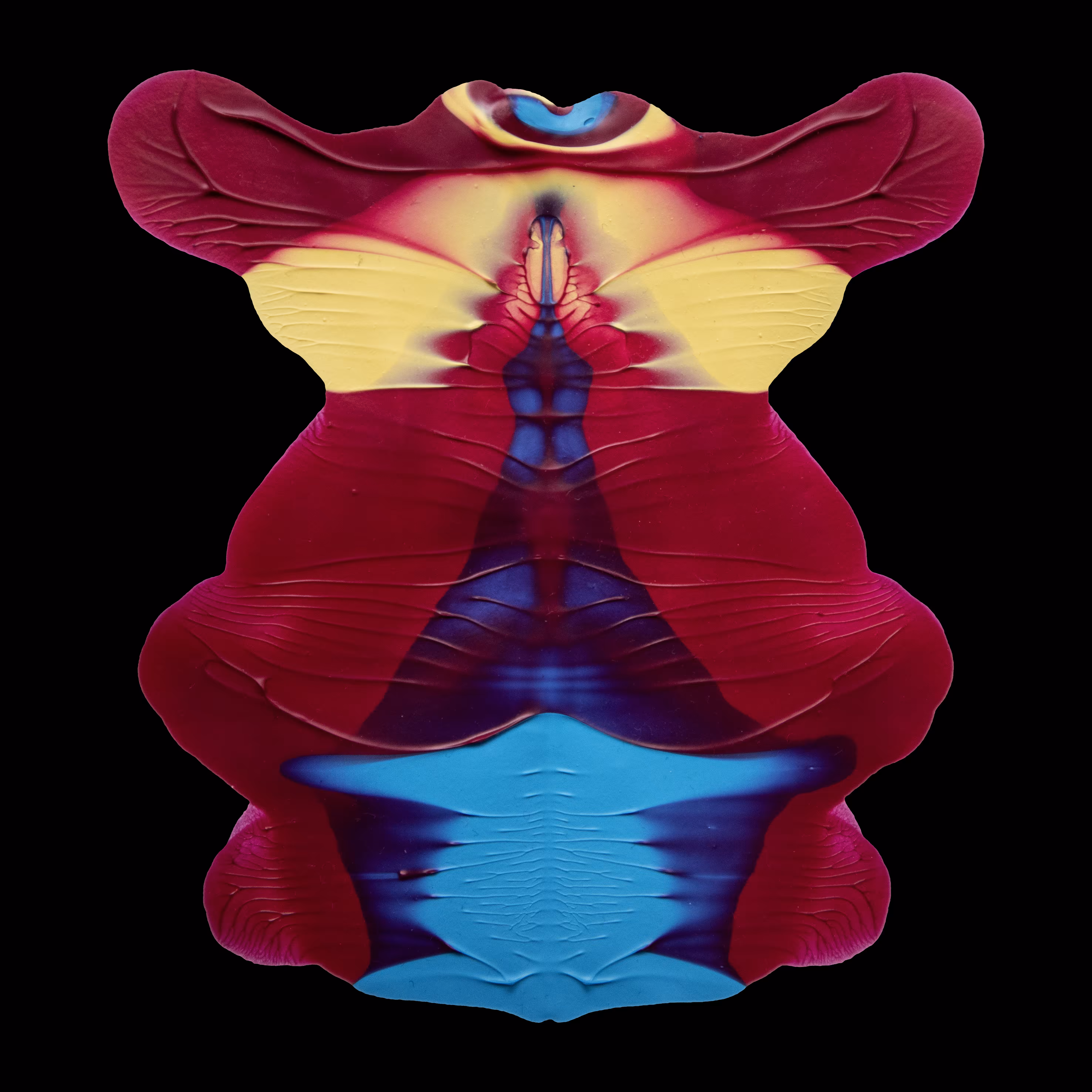 Paraidolia D