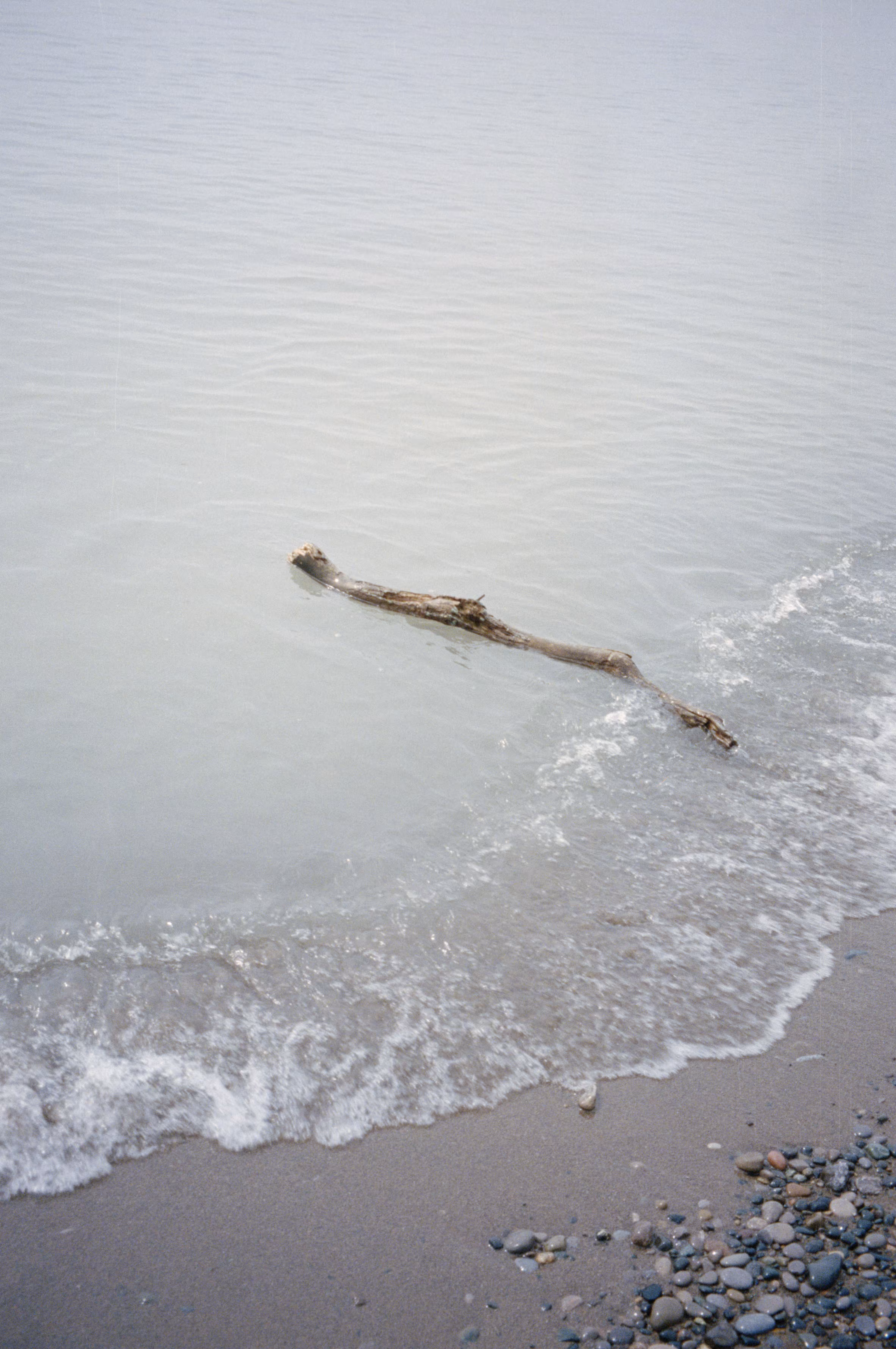 Shoreline