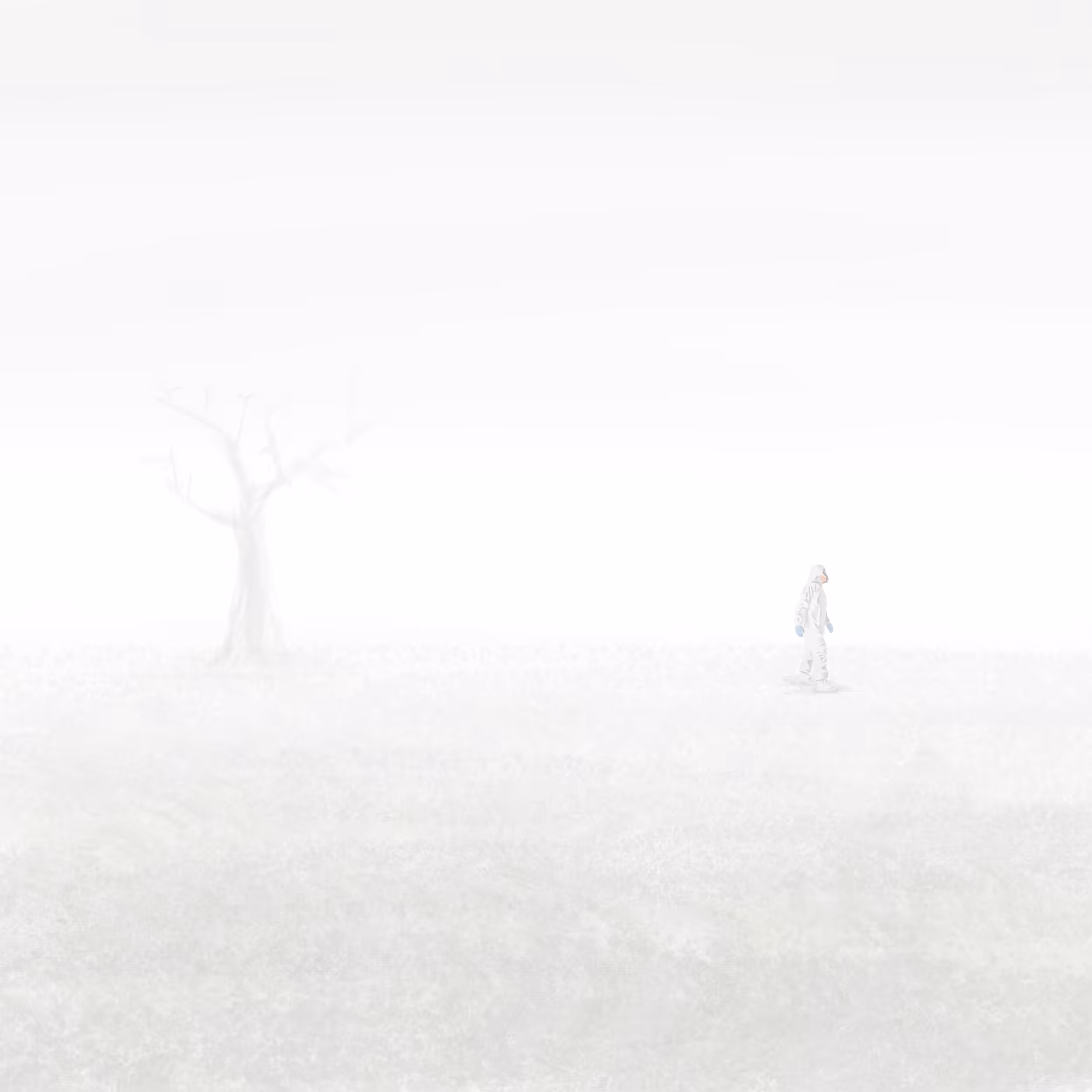 Dissociation