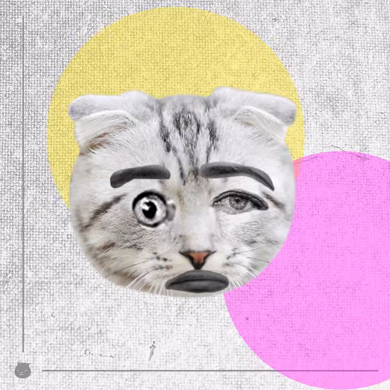 Kittenstein #40