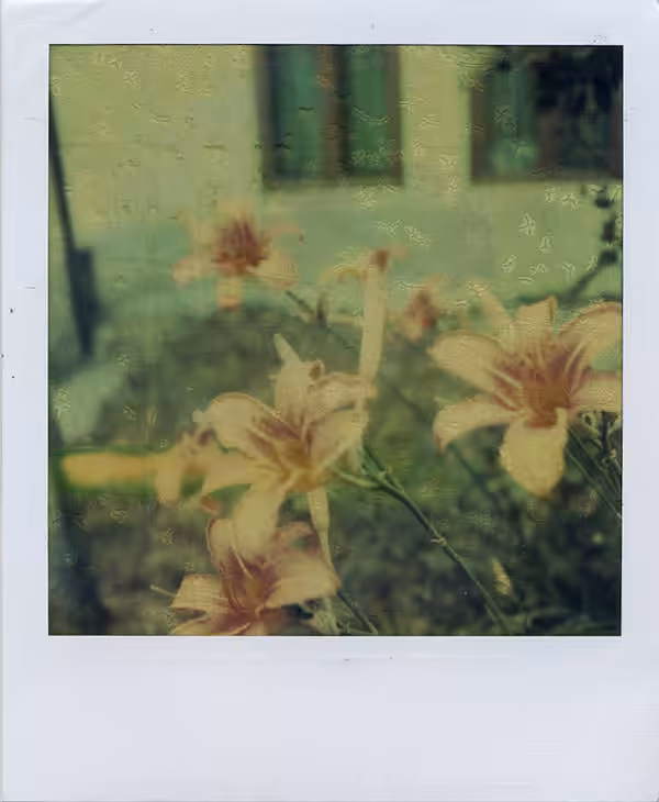 Flower Power