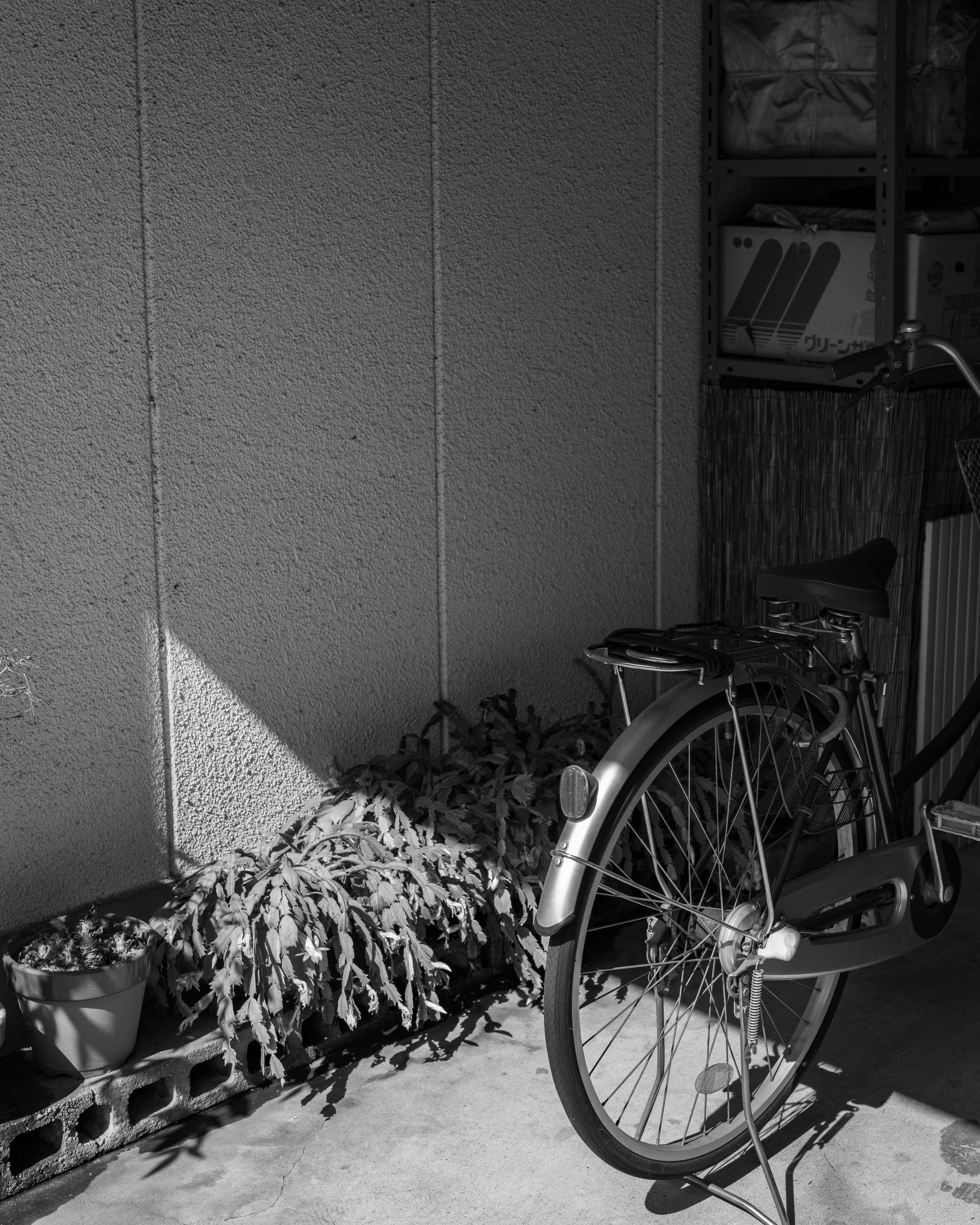 Plants, Shadows, and Spokes