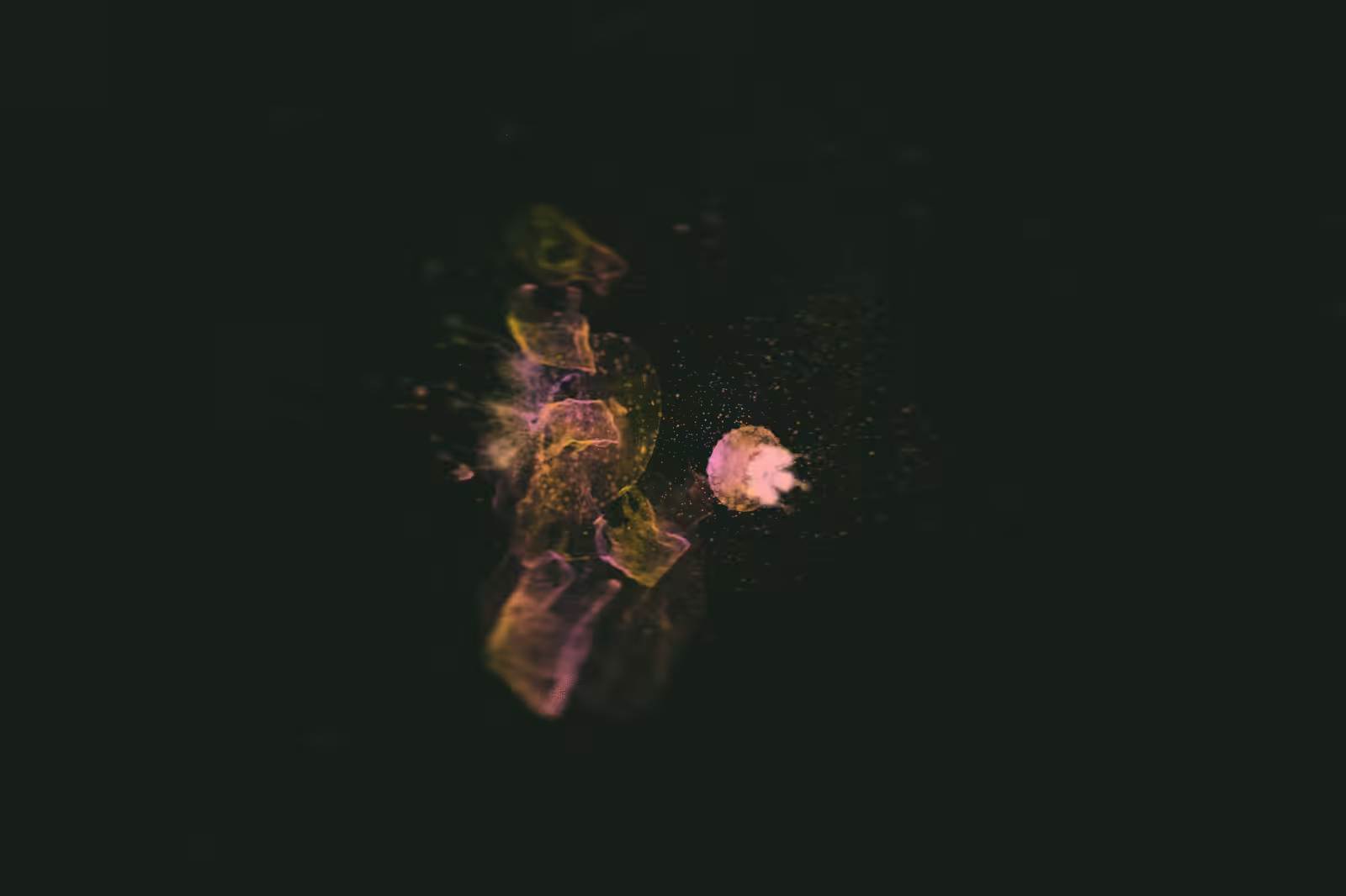 Turtle Vision #113